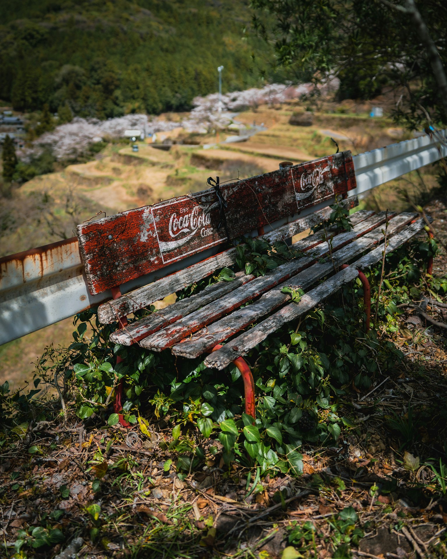 Panchina Coca-Cola arrugginita circondata da vegetazione e paesaggio scenico