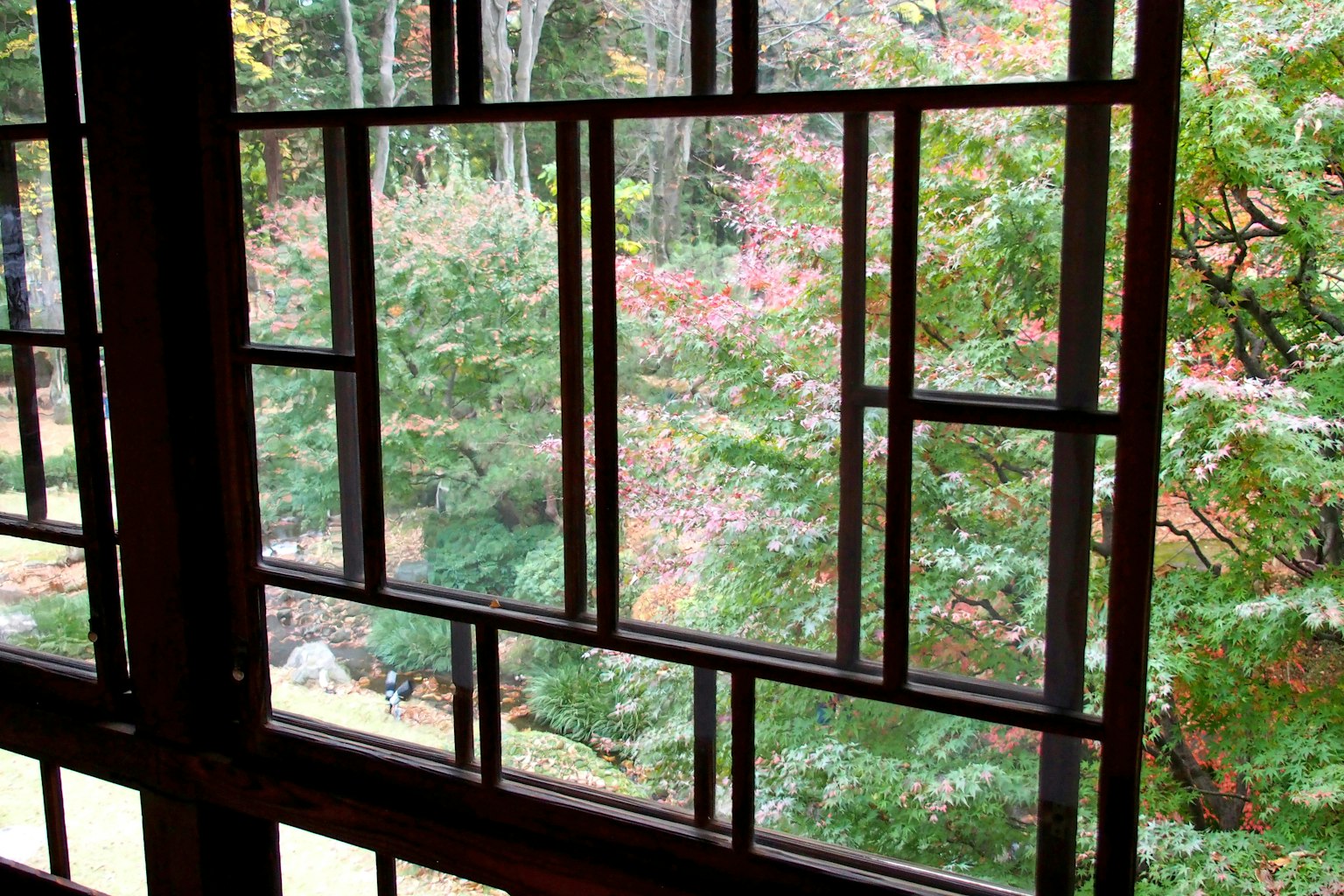 Traditioneller japanischer Fensterrahmen mit Blick auf einen lebhaften Garten