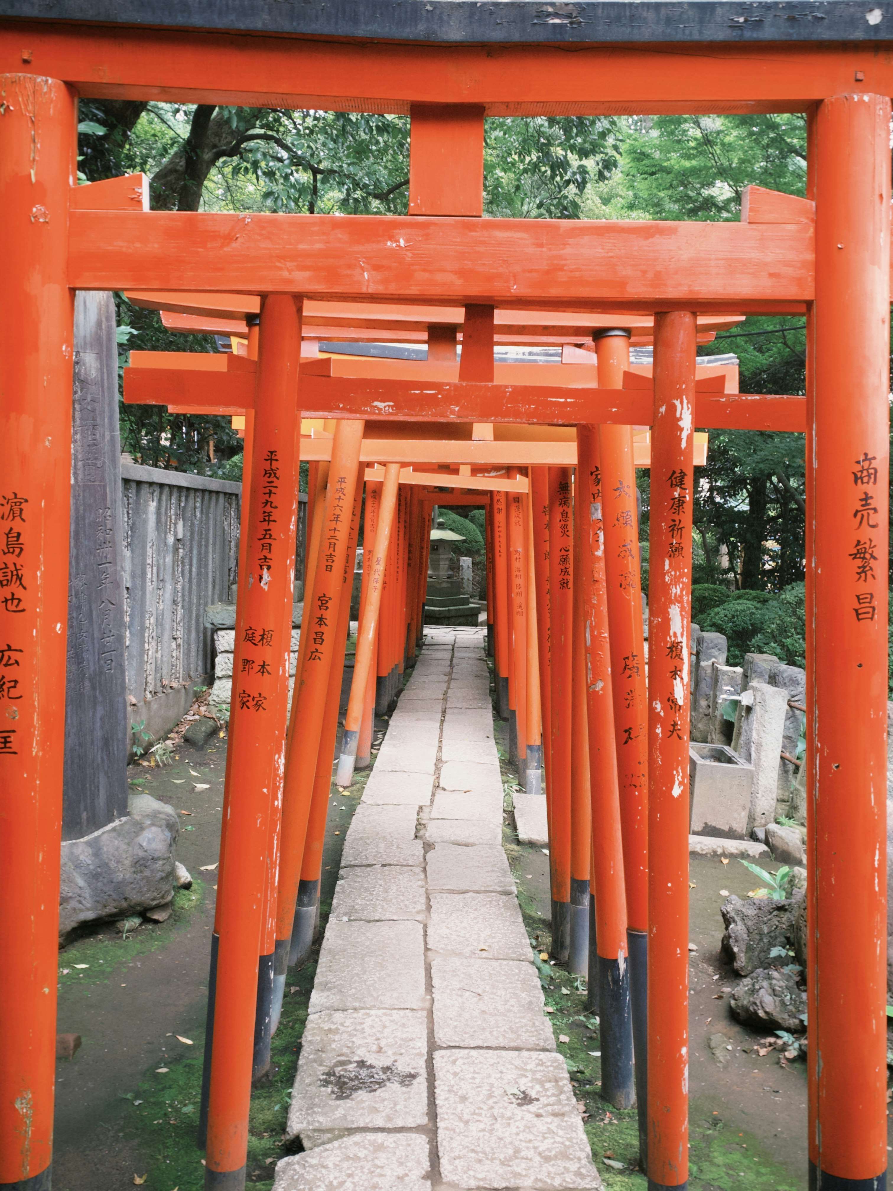 朱色の鳥居が続く参道の石畳