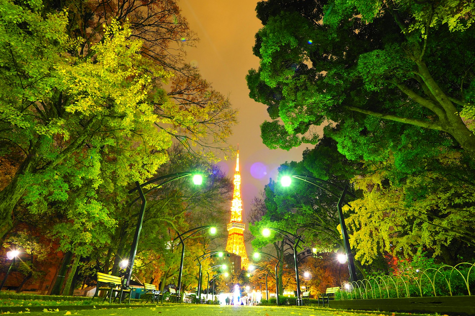 Vista nocturna de la Torre de Tokio visible a través de un parque frondoso