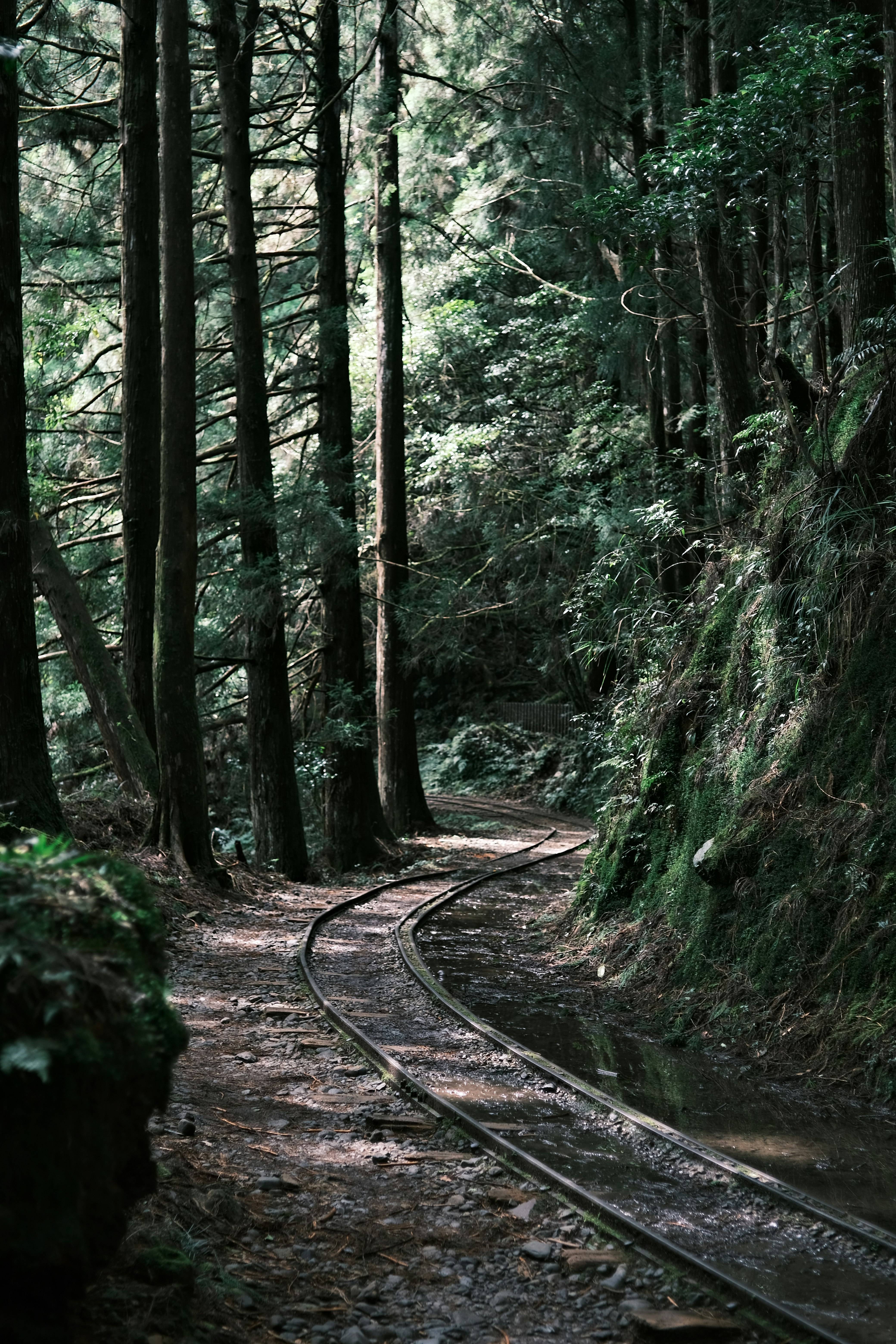 森の中を伸びる線路のある山道