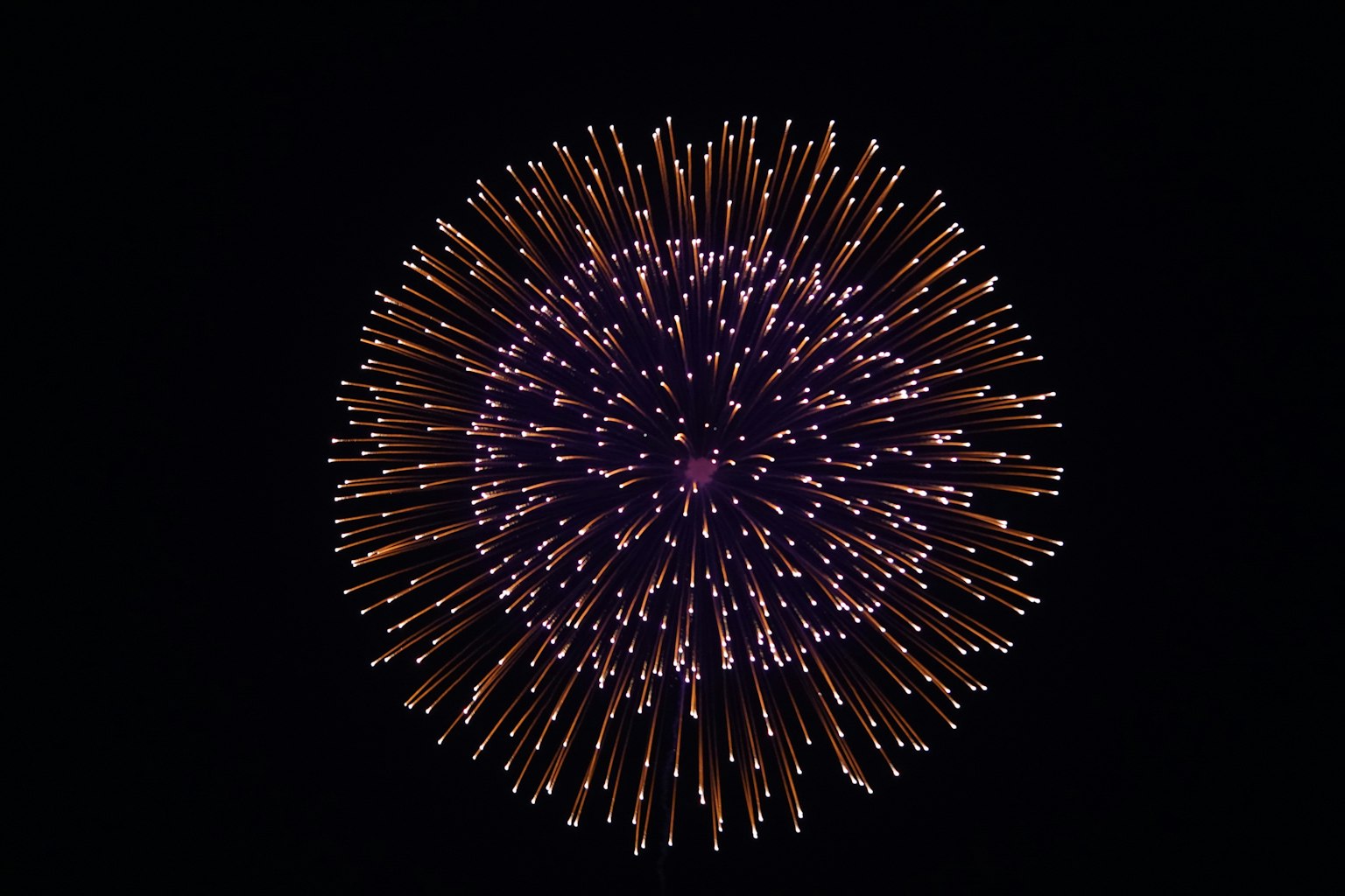 Explosion de feux d'artifice colorés sur fond noir