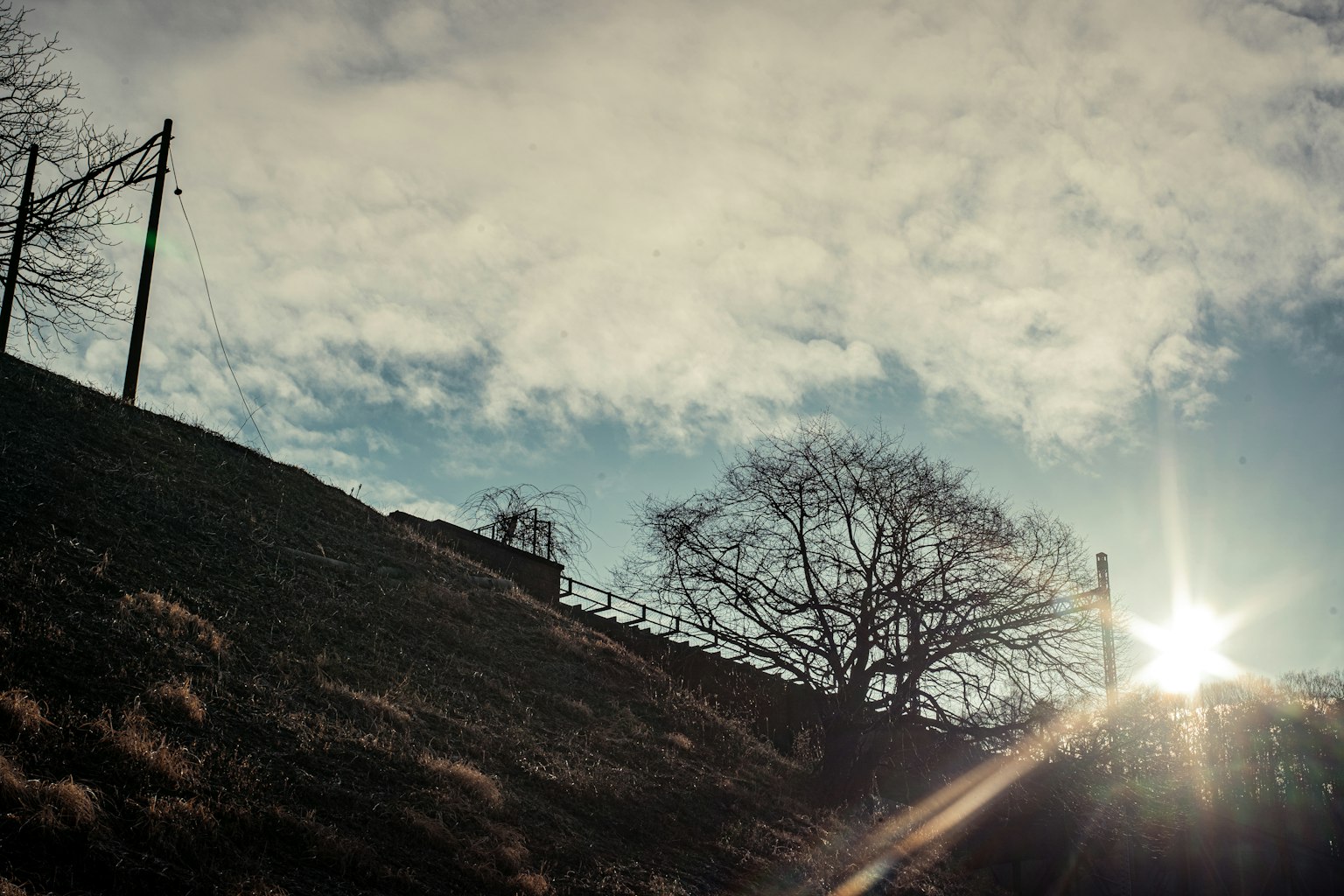 Silhouette di un albero su una collina con luce solare che passa tra le nuvole