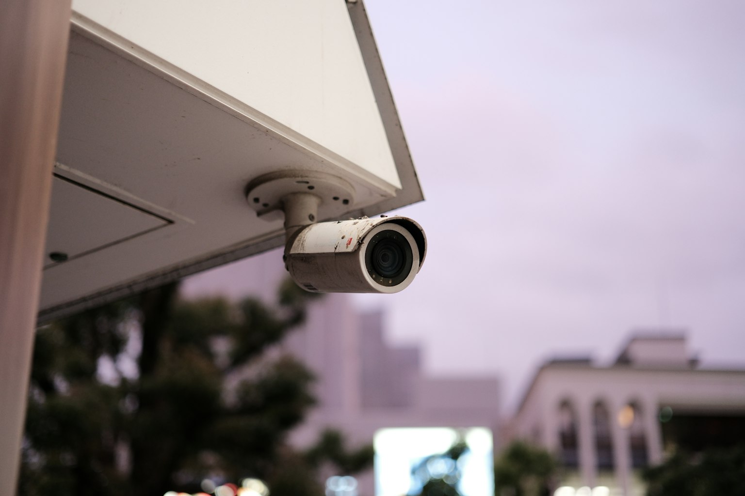 photo-gFT4JiScf0AfwztwosbJ-image