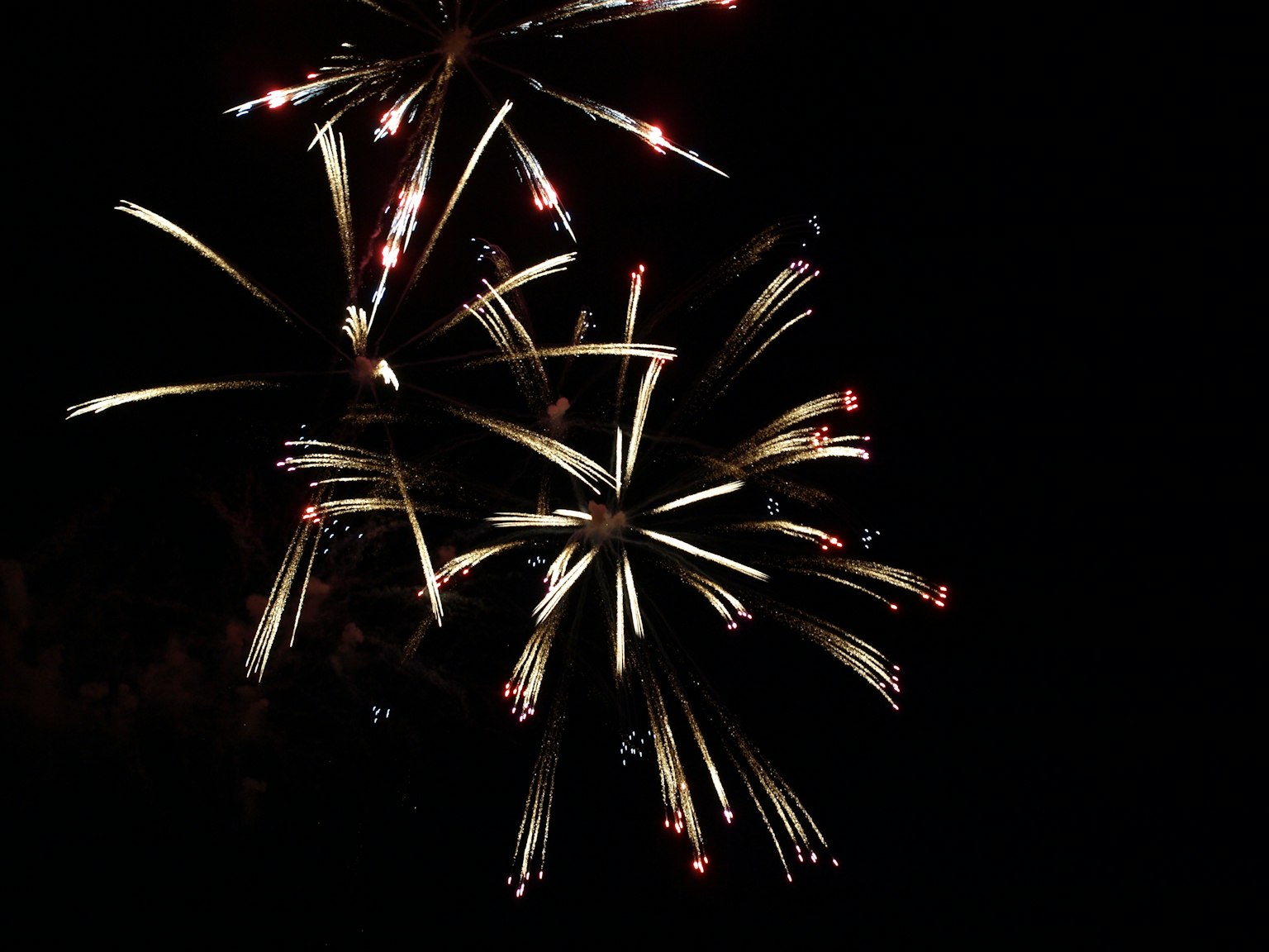 Fuochi d'artificio colorati che esplodono su uno sfondo nero
