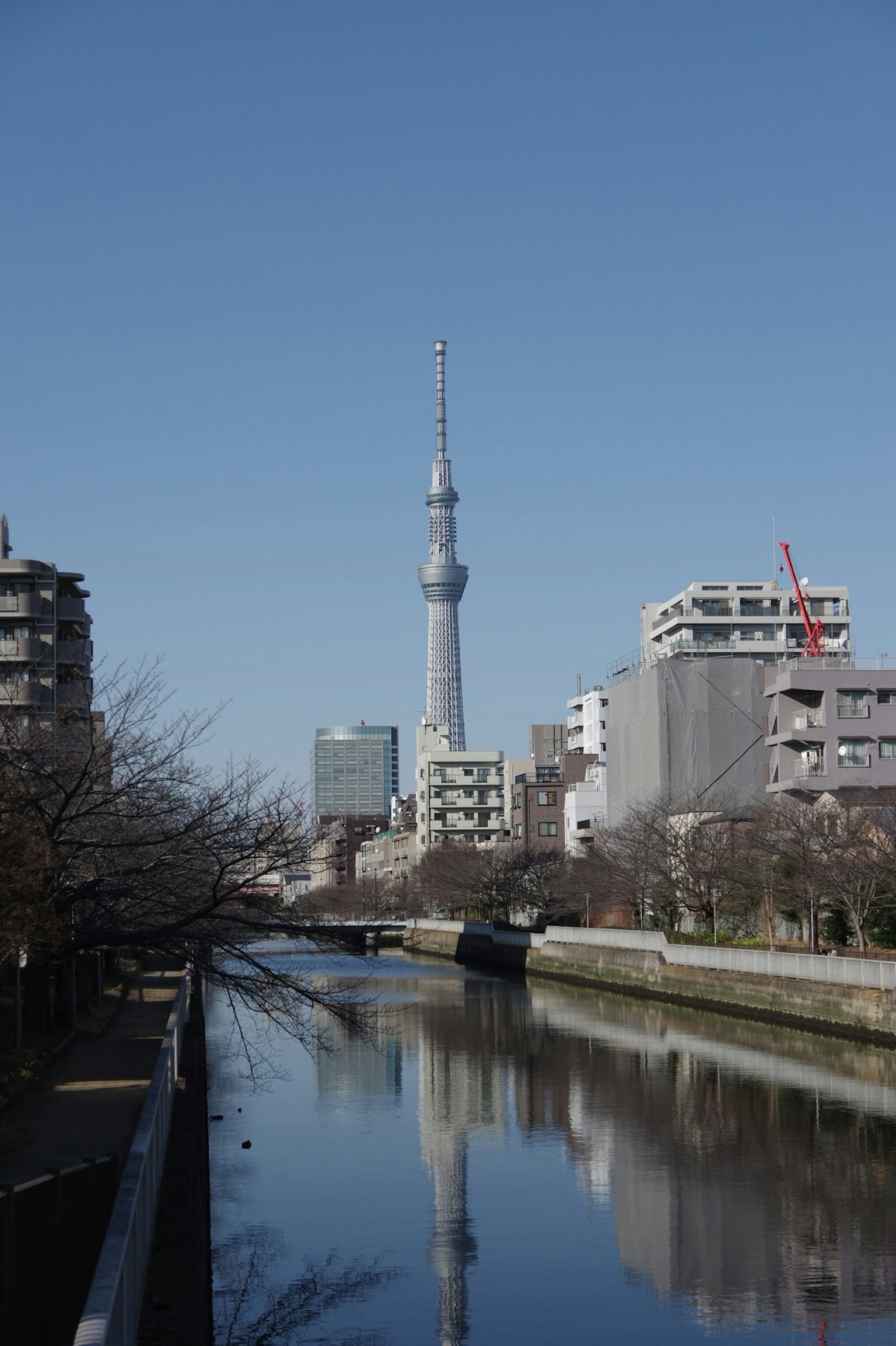 東京晴空塔與河流景觀