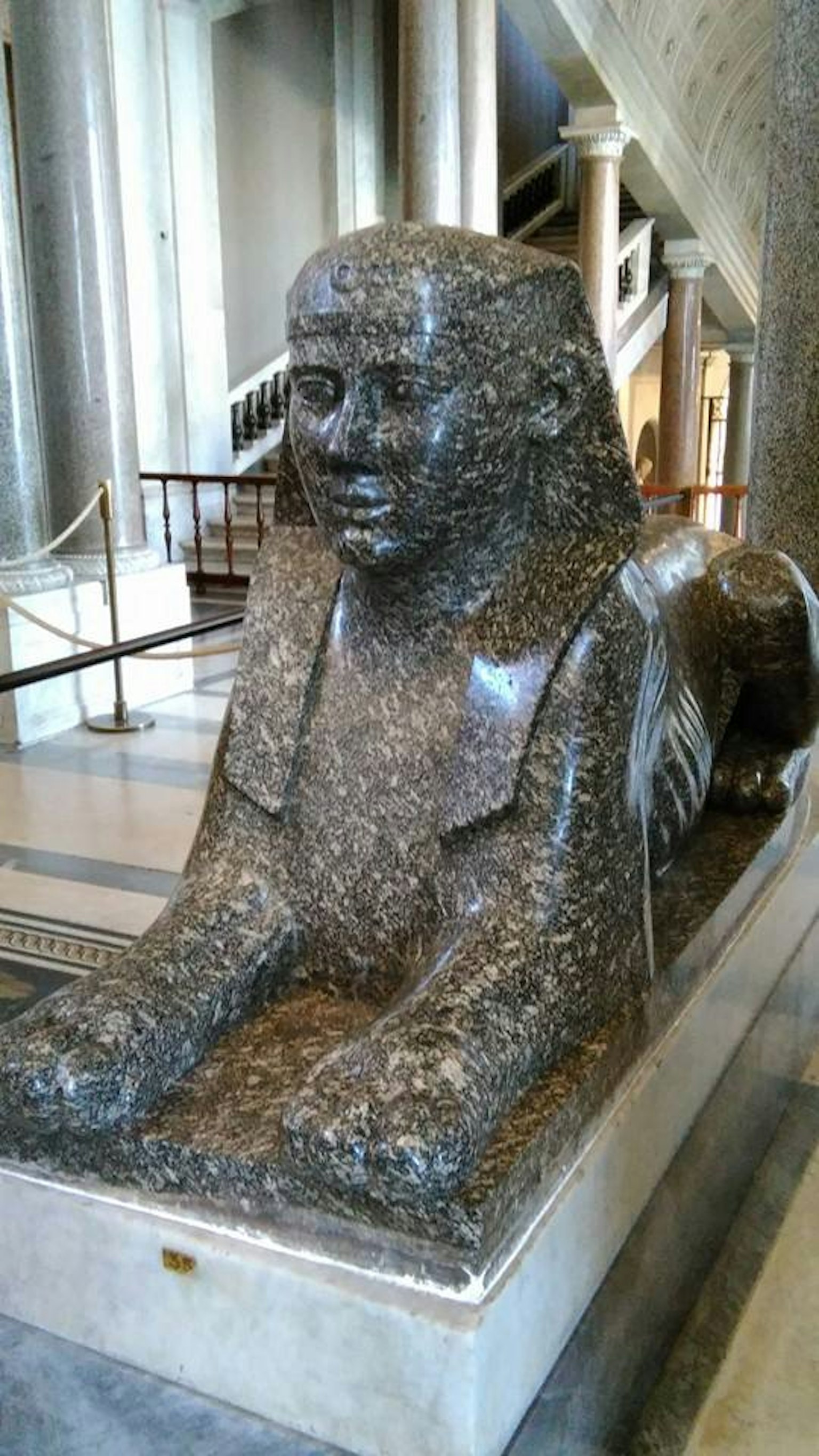 Statue de sphinx en granit exposée dans un intérieur de musée