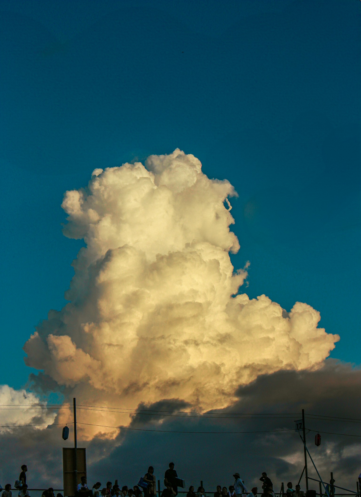 photo-gGXtXHVnMksPiRAeir9N-image