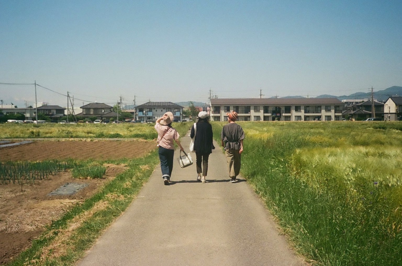 三個人走在鄉間小路上，周圍是綠色的田野