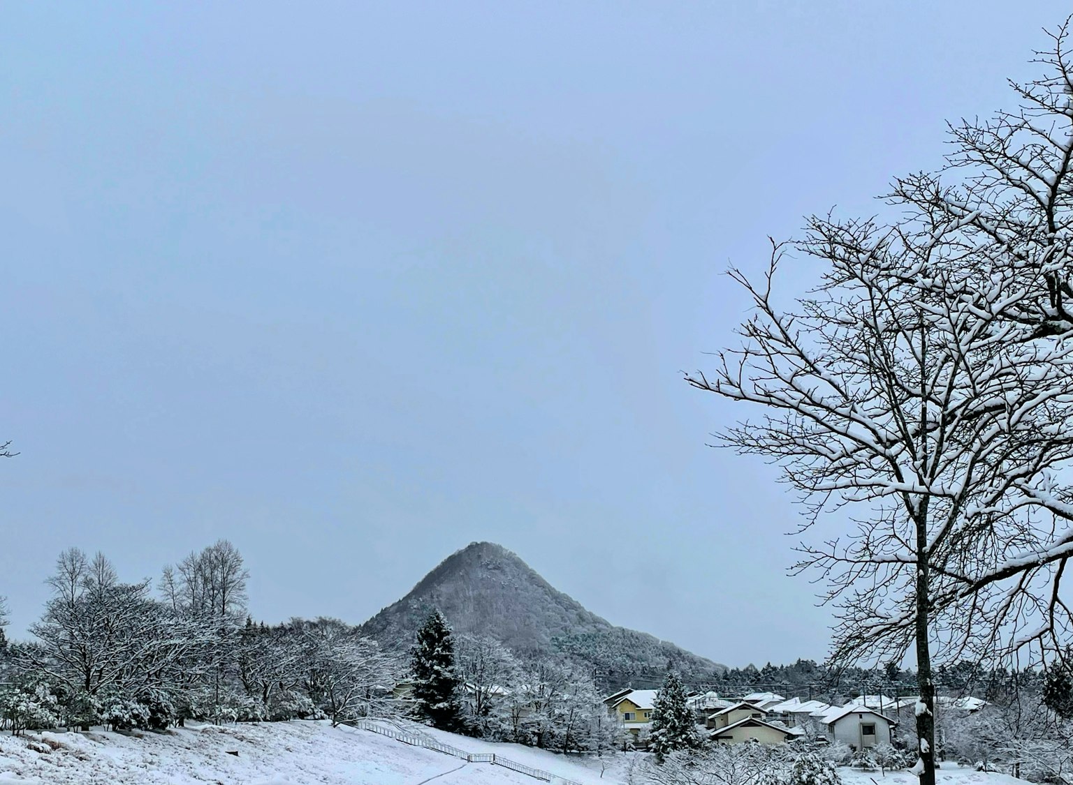 Paesaggio invernale con montagna coperta di neve e alberi