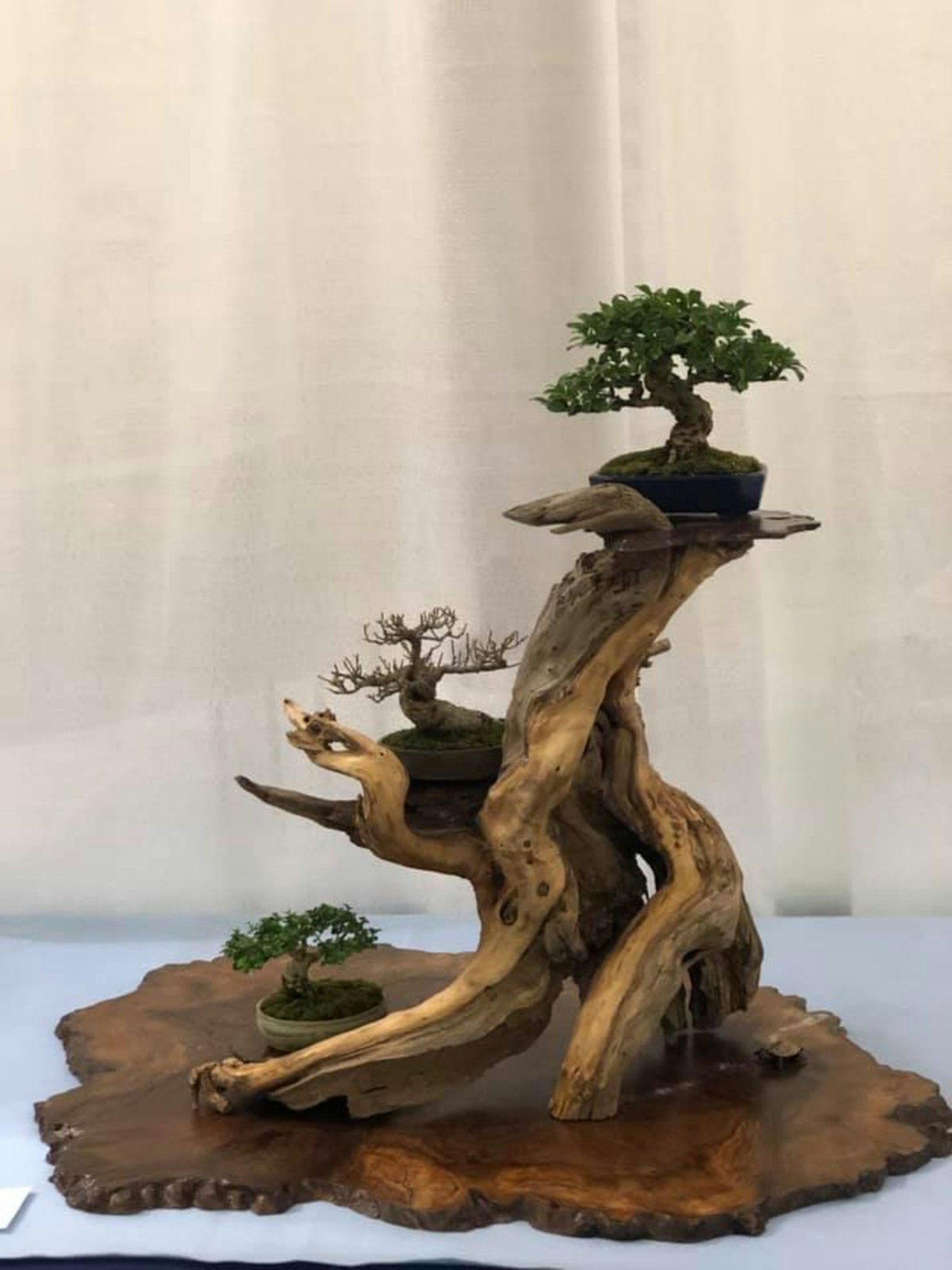 木の台座の上に配置された盆栽のアート作品