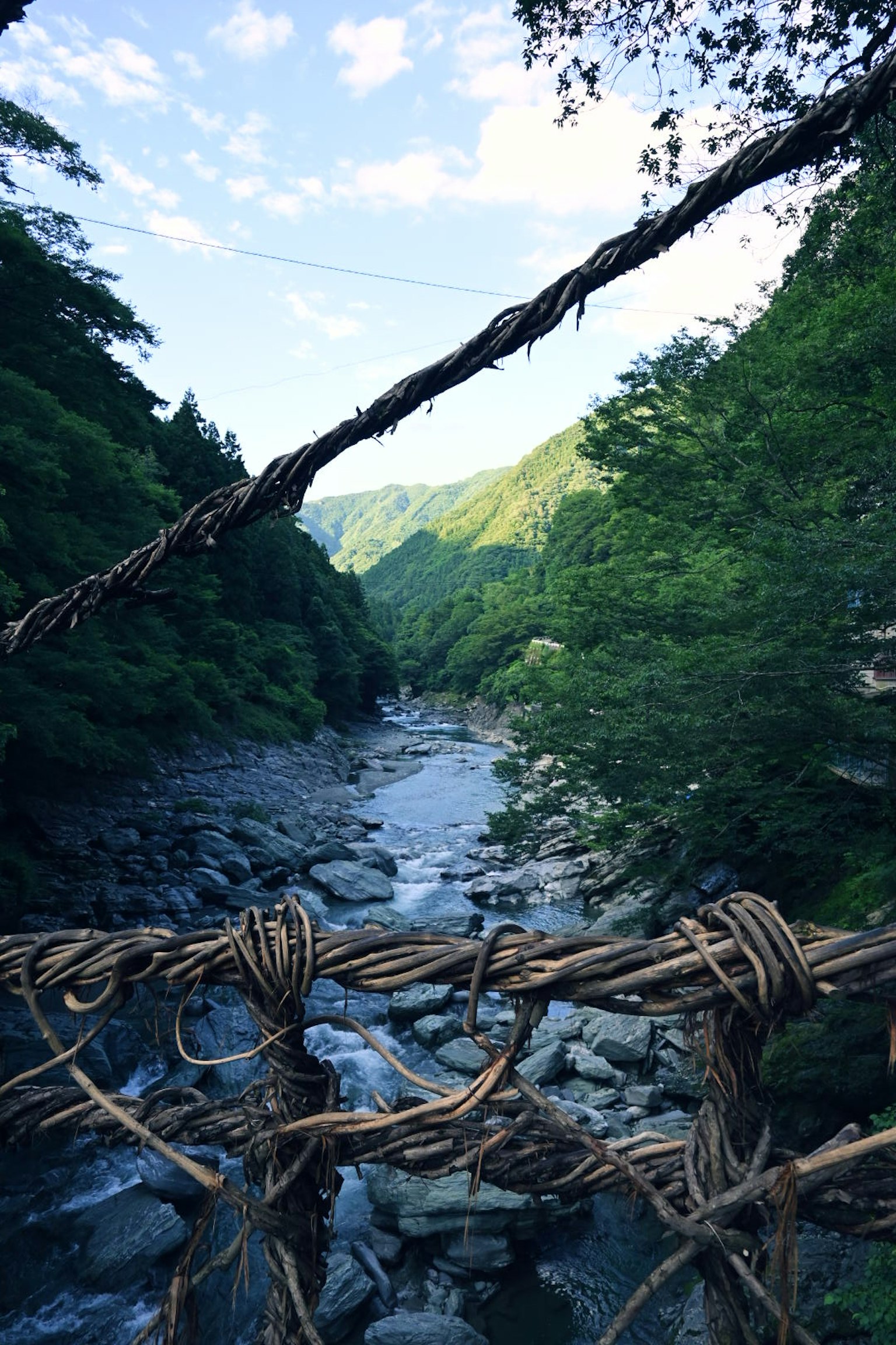 從藤蔓懸索橋俯瞰的河流和山脈的風景