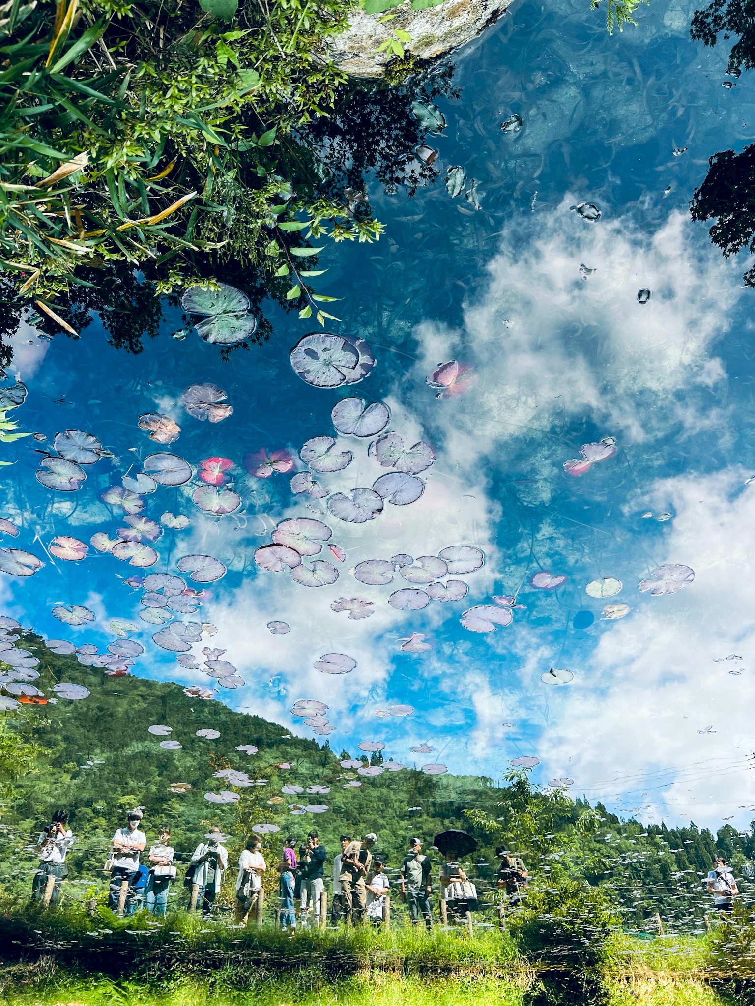 Siluetas de personas reflejadas en el agua con cielo azul y nubes blancas