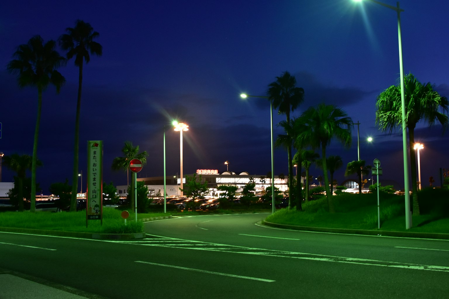 Escena nocturna de un parque con farolas altas y palmeras luces del estacionamiento visibles