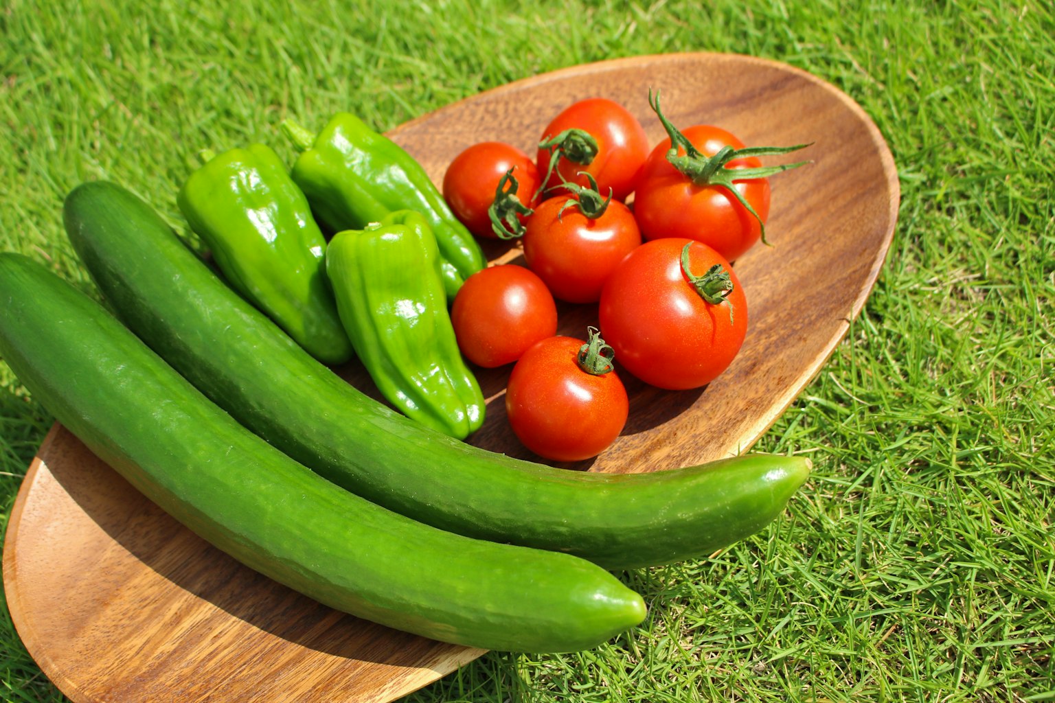 Frisches Gemüse einschließlich Gurken Tomaten und Paprika auf einem Holzbrett