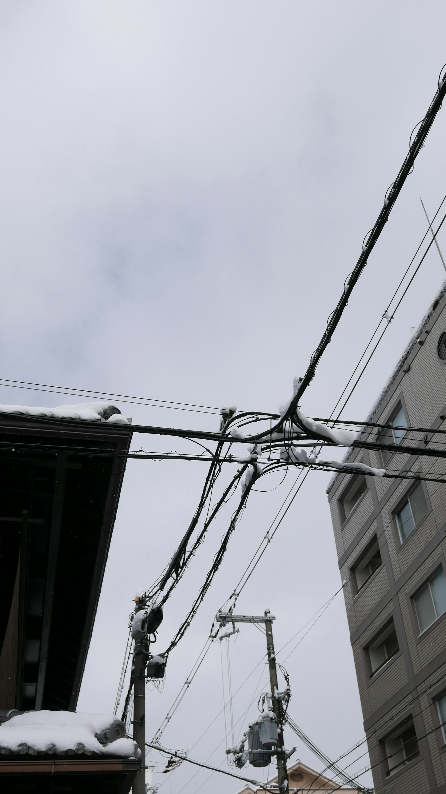 photo-gJAz4u4gy629pwgnq7XU-image