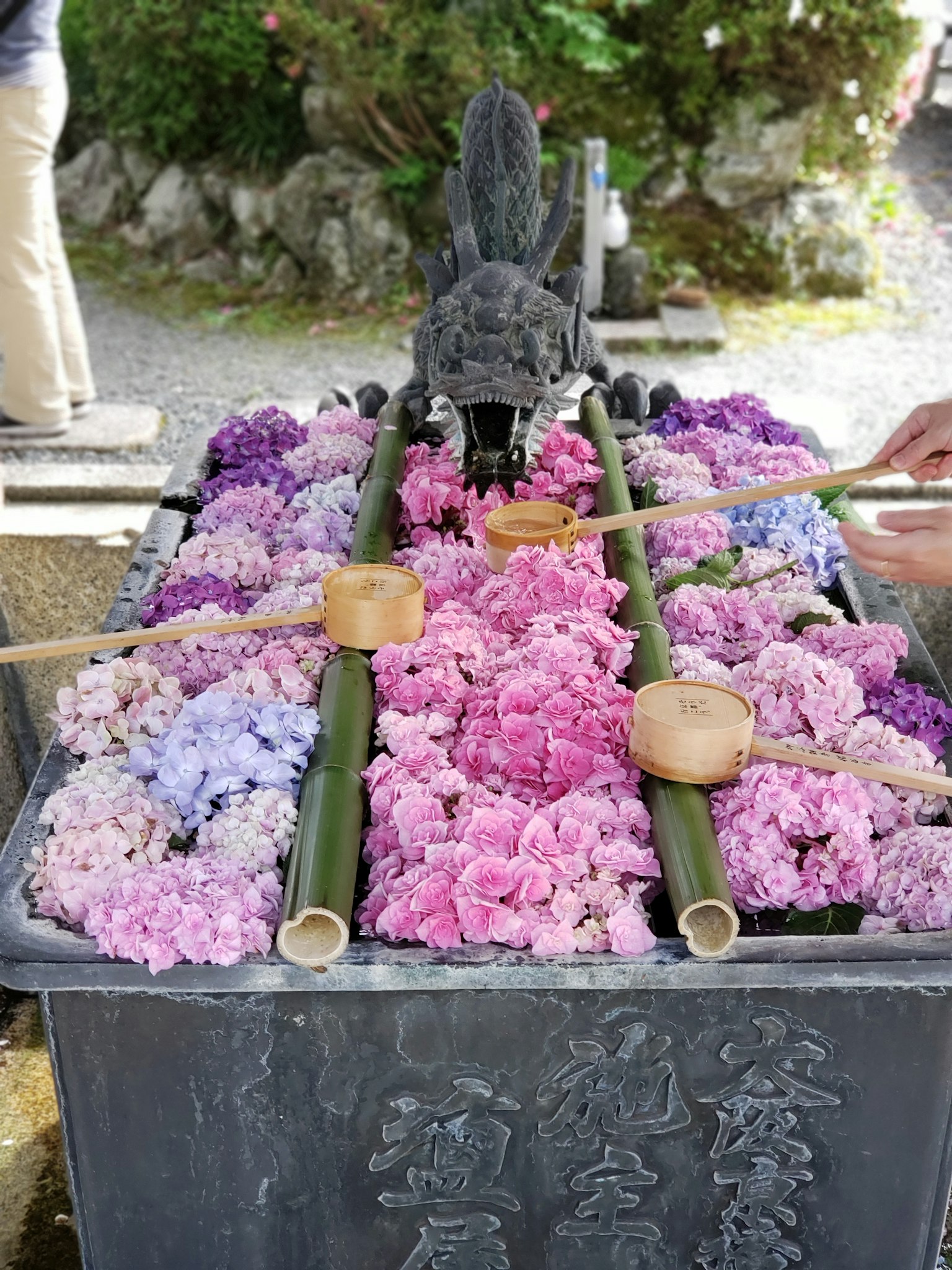 Fiori colorati disposti attorno a una vasca d'acqua con cucchiai di bambù