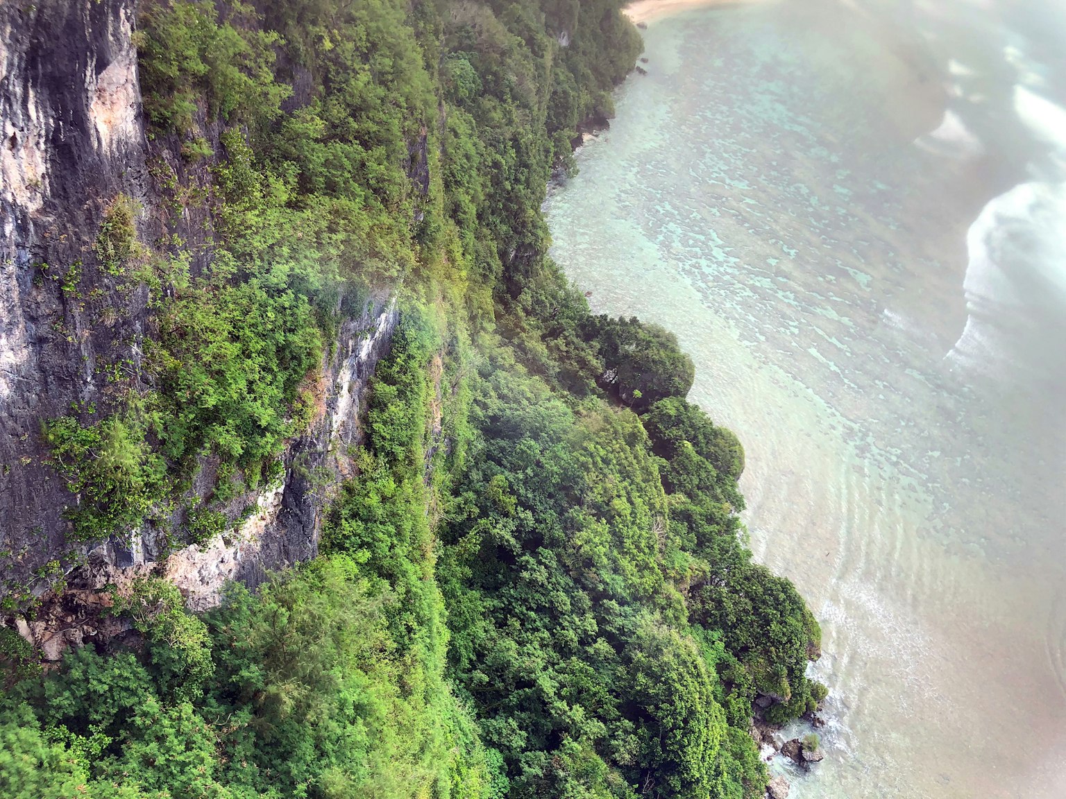 Falaises verdoyantes le long d'une côte avec une eau claire