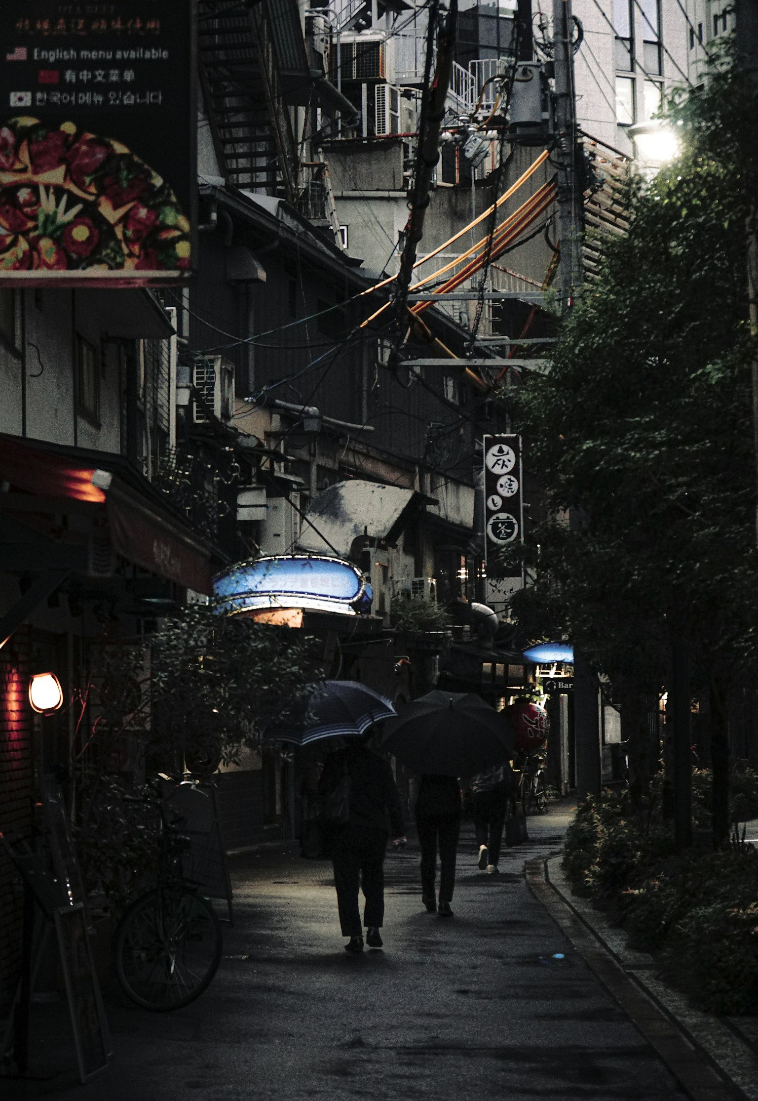 photo-gKhye3NIvrSIH7XEHgdO-image