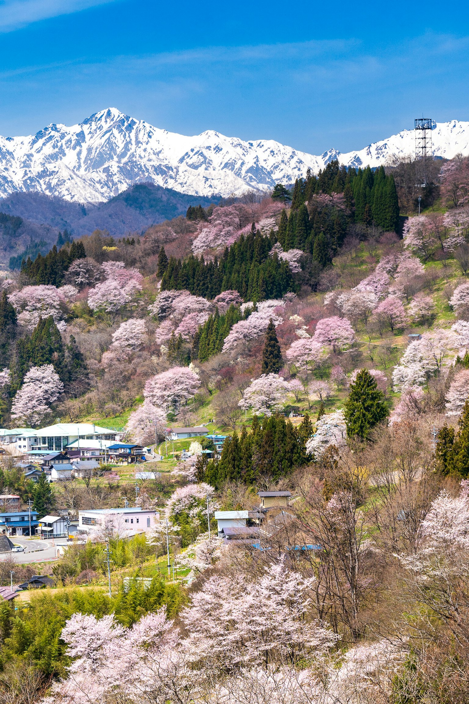 photo-gL7MbPrDgbxZkUWTjorF-image