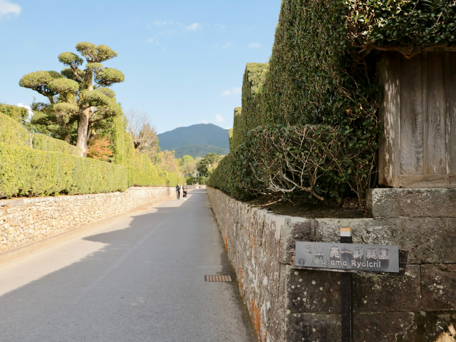 Quiet pathway lined with green hedges and mountain view
