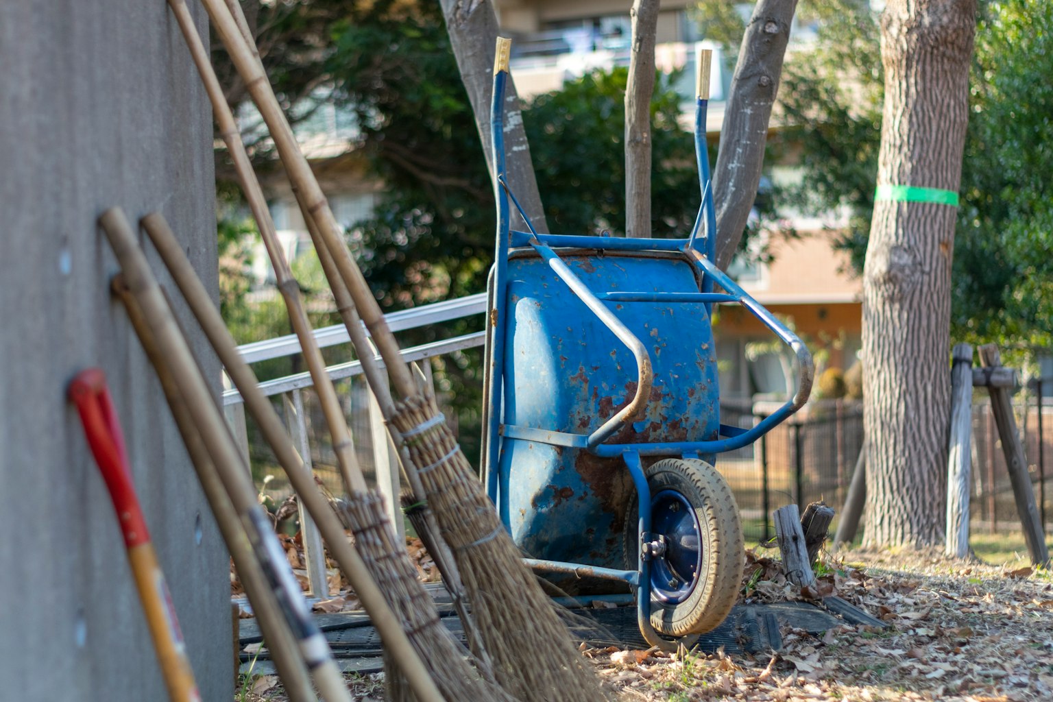 A blue wheelbarrow positioned near trees with garden tools leaning against a wall