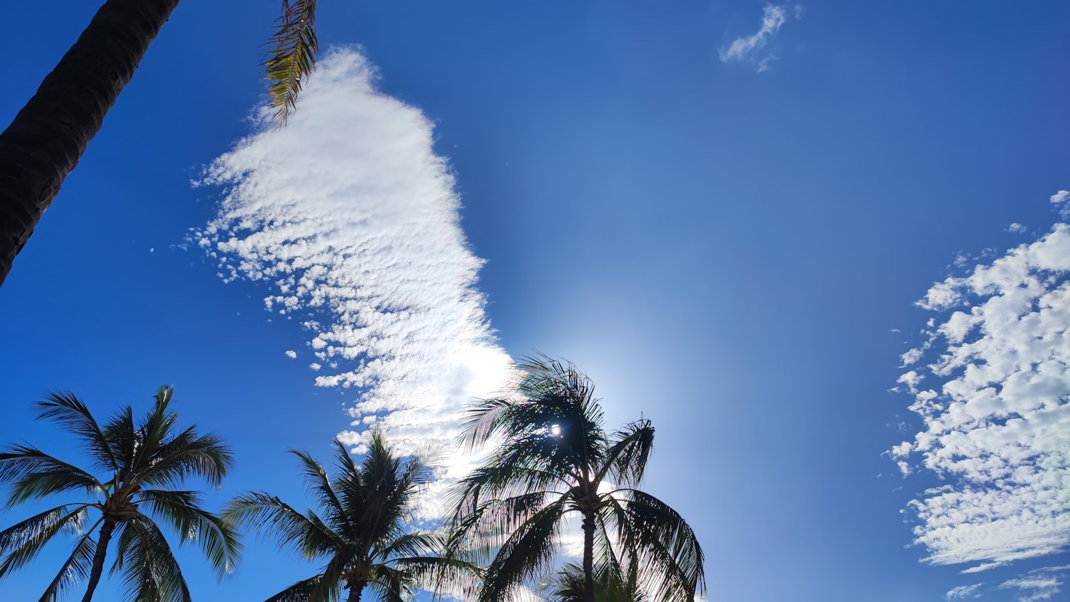 Cielo azul claro con nubes blancas y palmeras