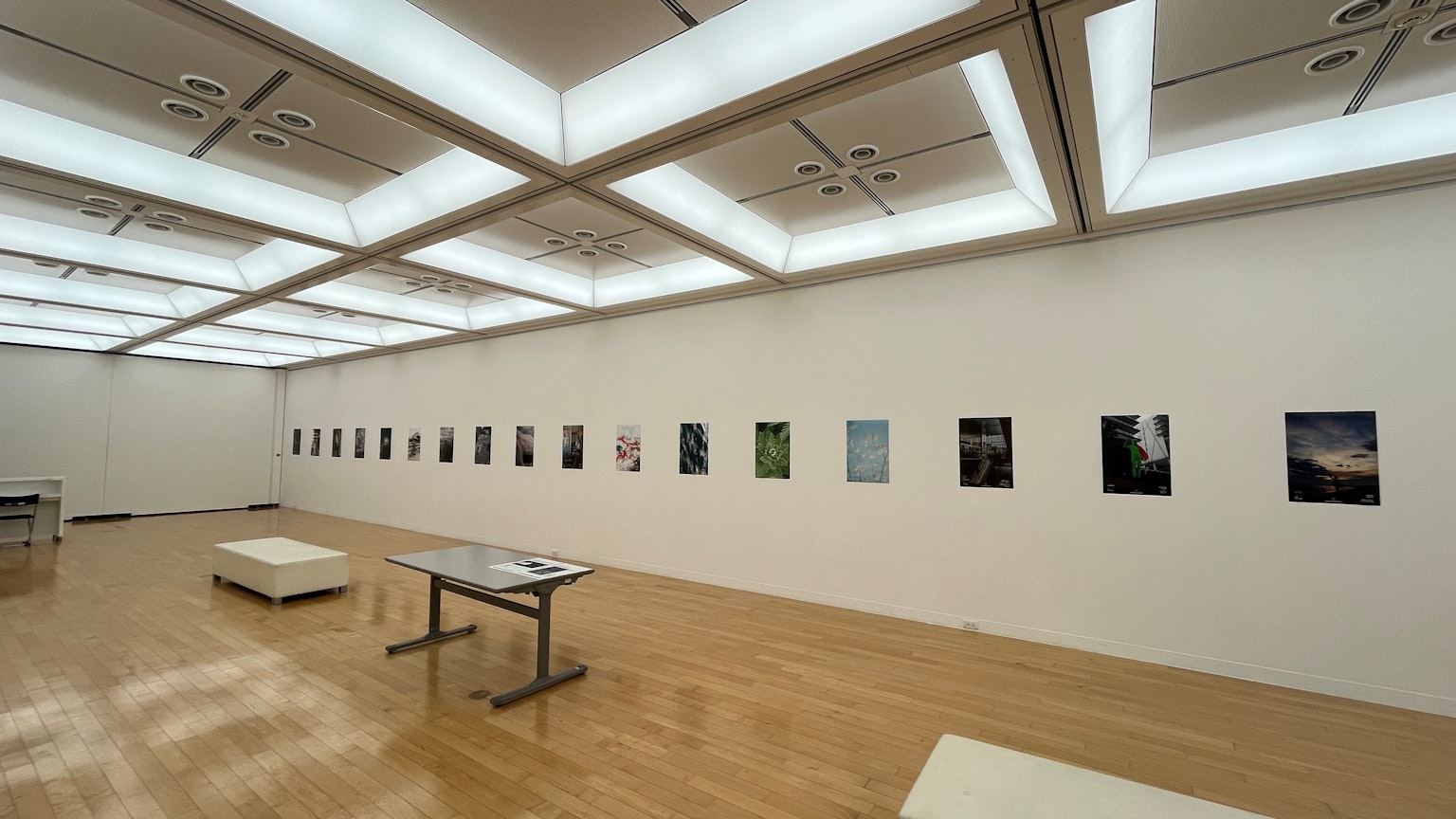 Art gallery featuring a series of photographs on white walls with wooden flooring