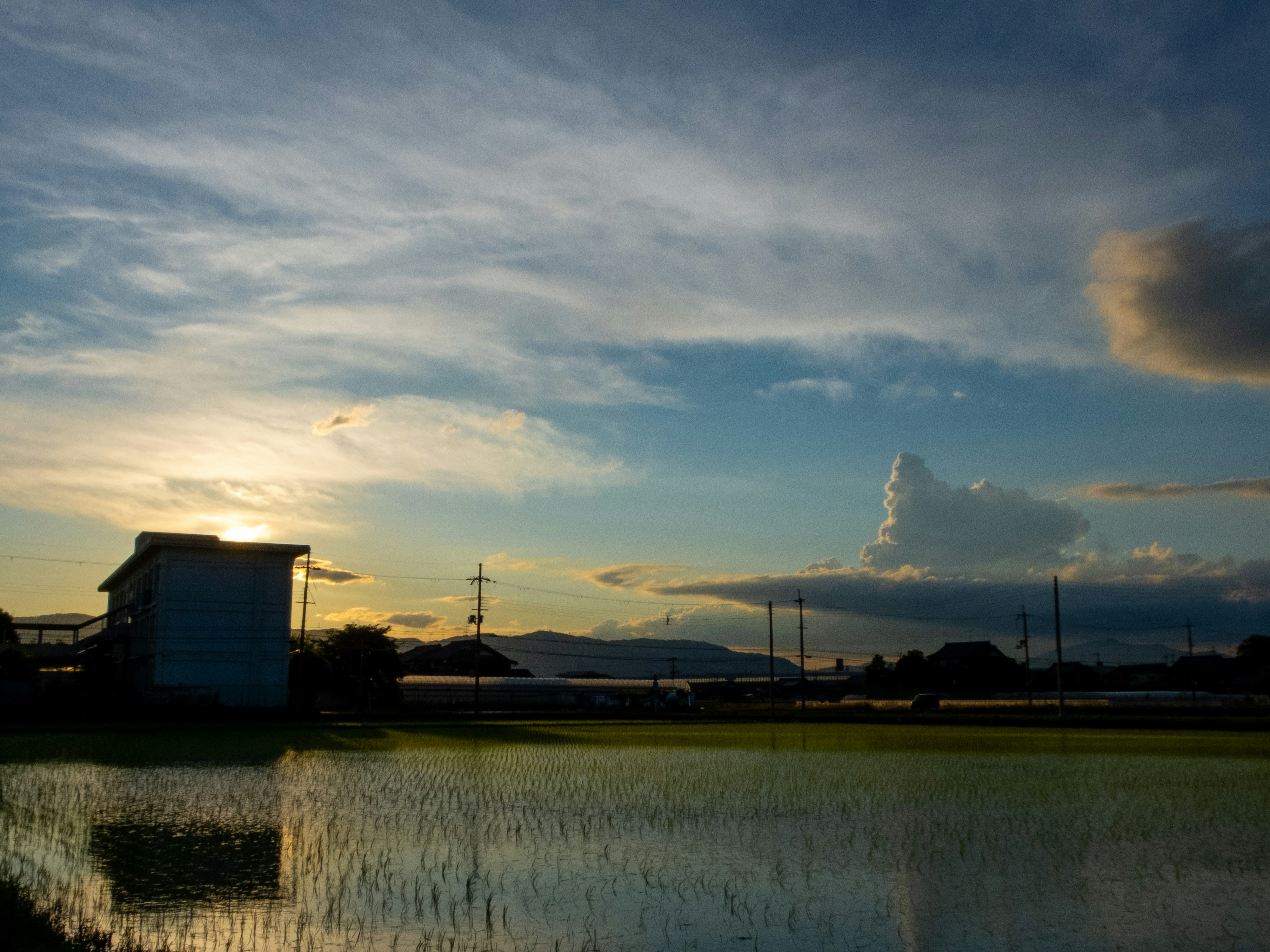 夕暮れの田んぼと水面に映る空