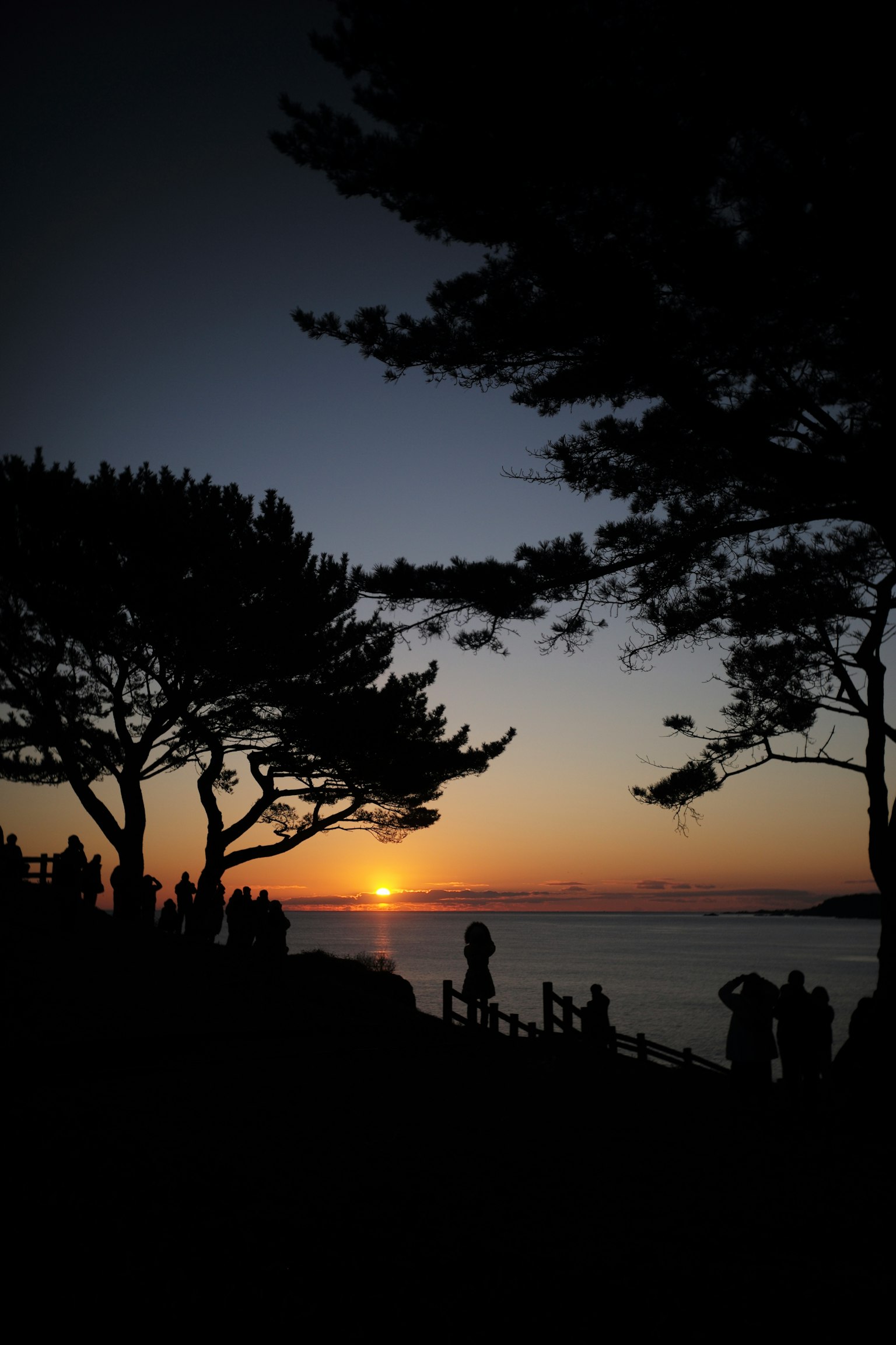 Silhouette d'arbres et de personnes contre un fond de coucher de soleil