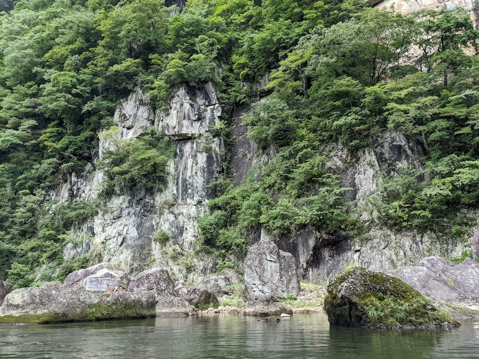 郁郁葱葱的悬崖与水面景观