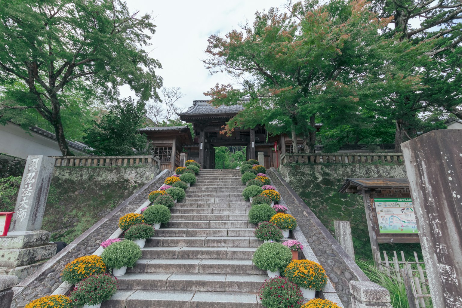 Pathway leading to a shrine gate with flower pots lining the stairs