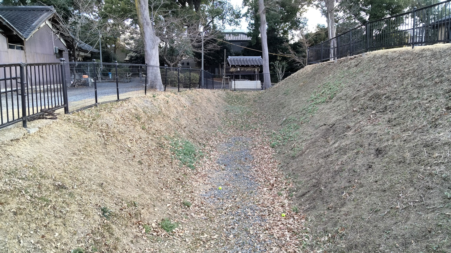 A pathway surrounded by grassy mounds and trees