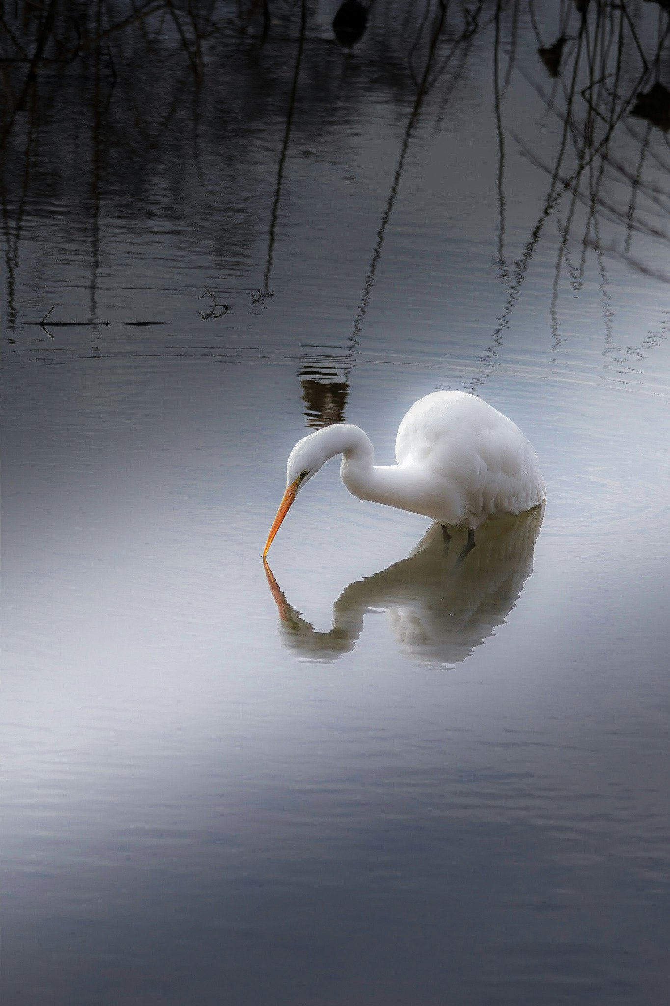 photo-gO3ZizTmODbn9V2On8fk-image