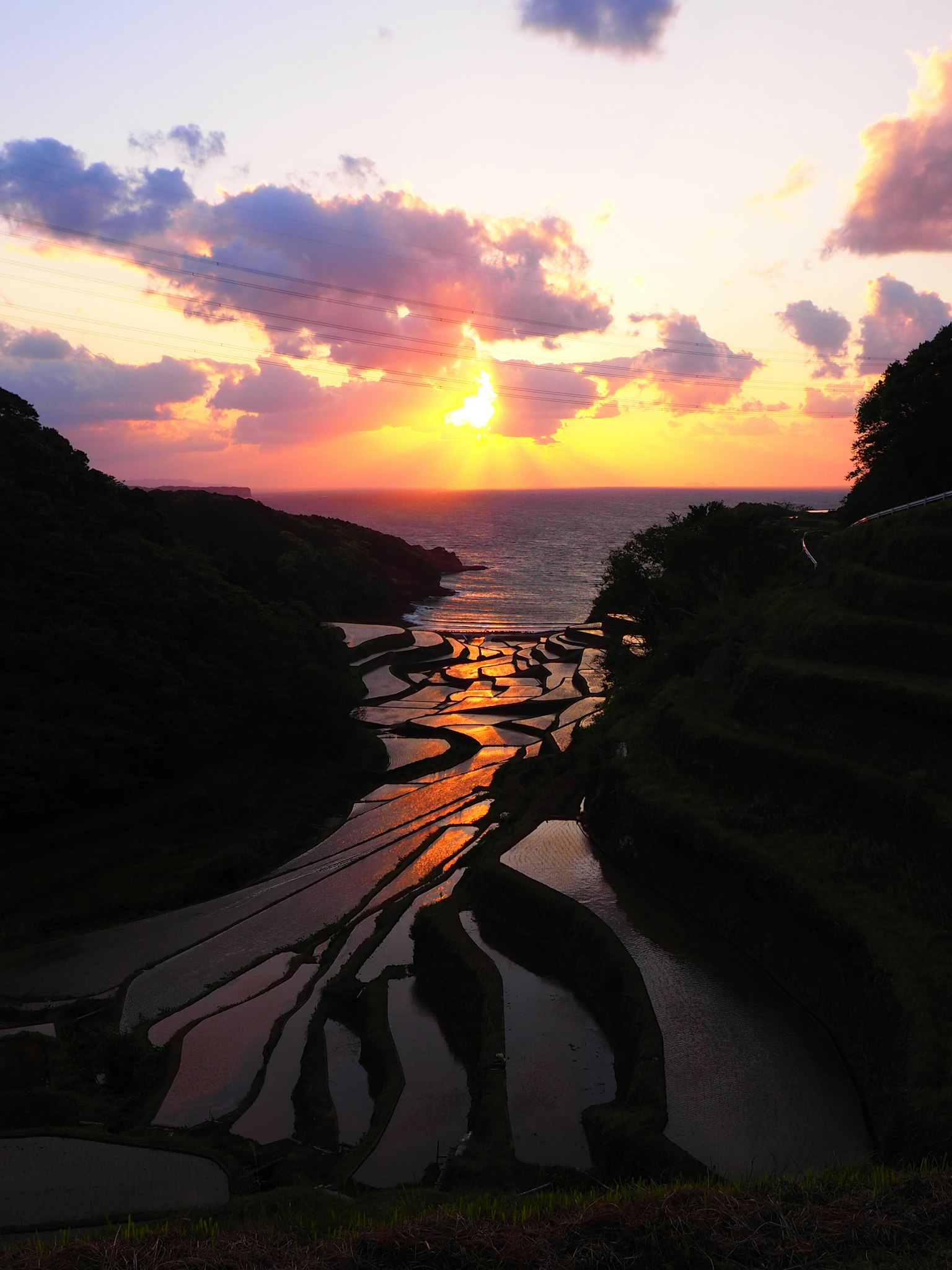美丽的日落在海边的梯田上