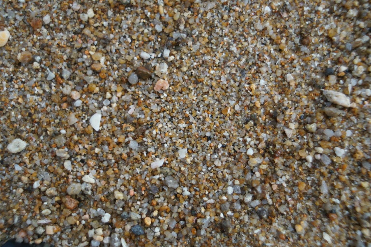 photo-gOIajbaCFsVoRKbORYFt-image