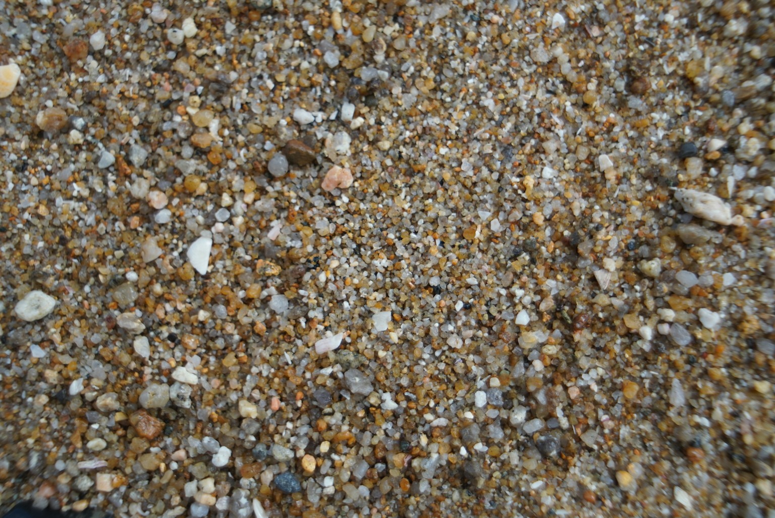 photo-gOIajbaCFsVoRKbORYFt-image