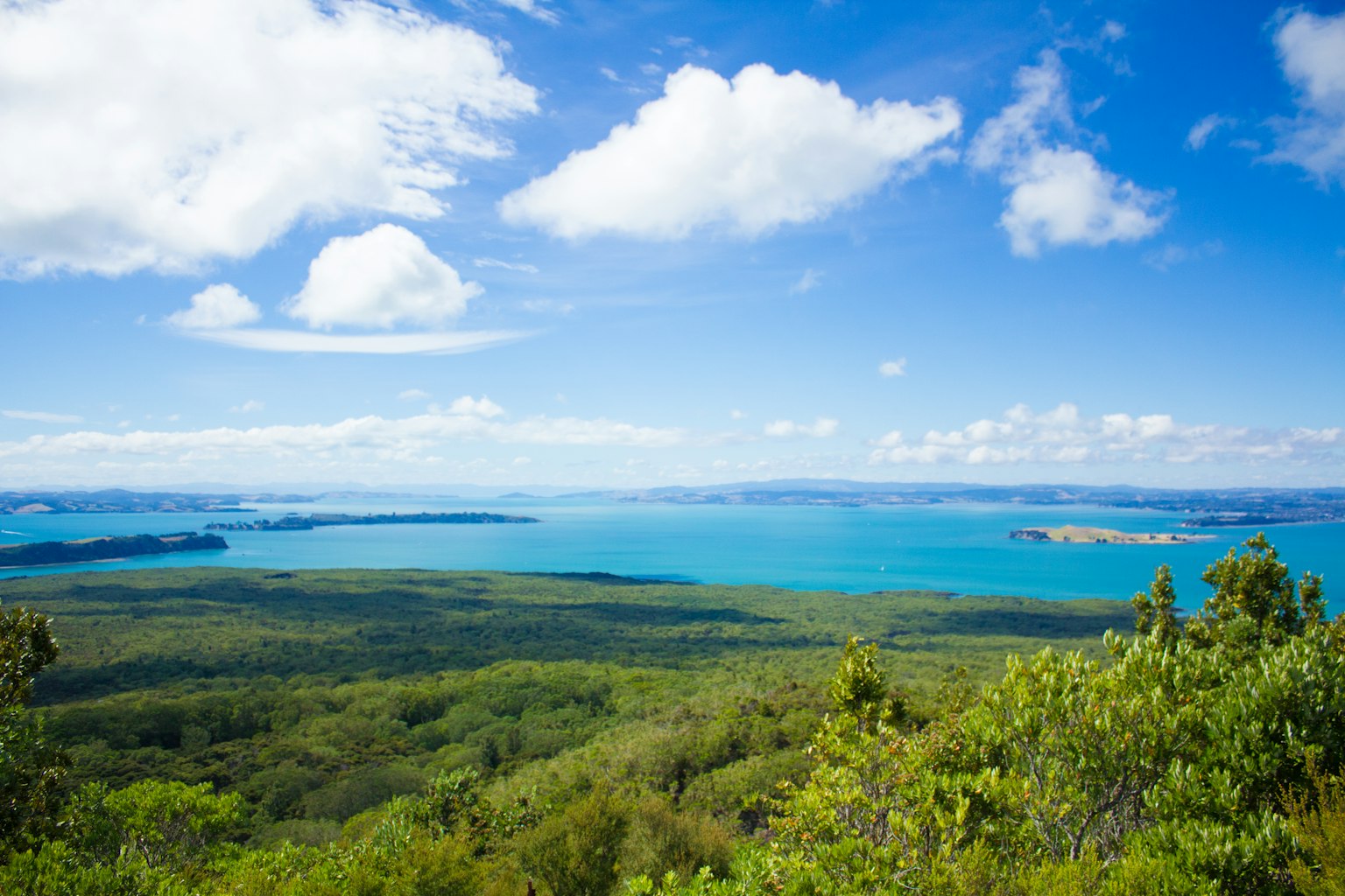 Beautiful landscape featuring blue sea and green forest