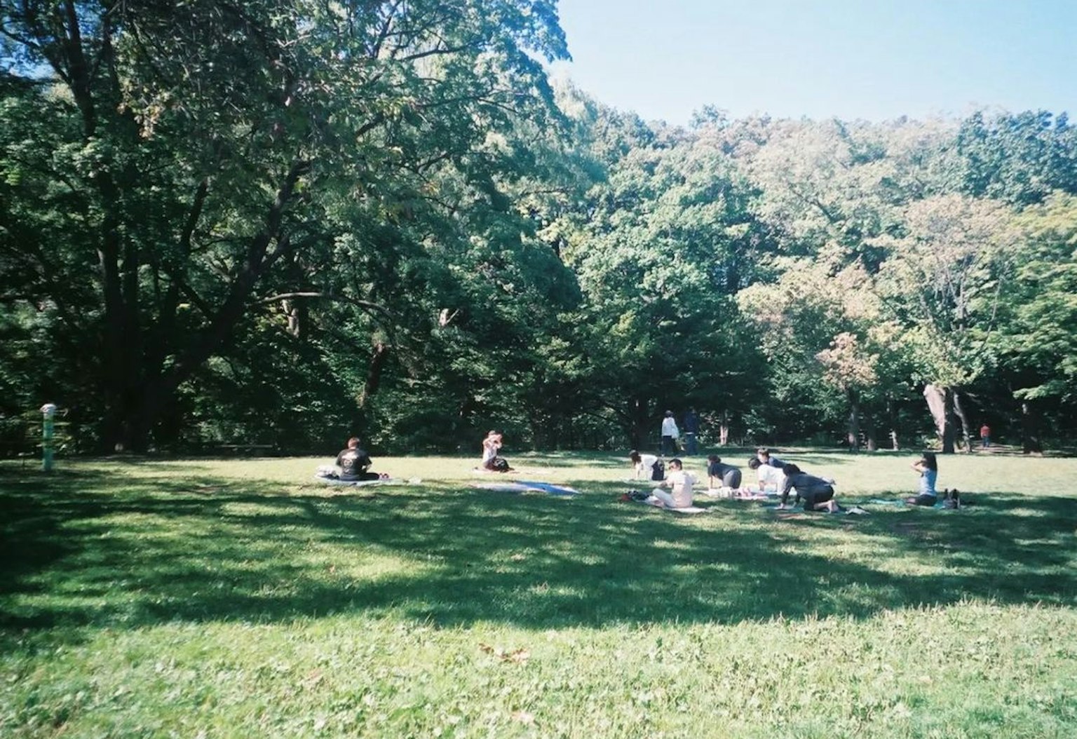 Mọi người đang thưởng thức một buổi picnic trong công viên xanh tươi