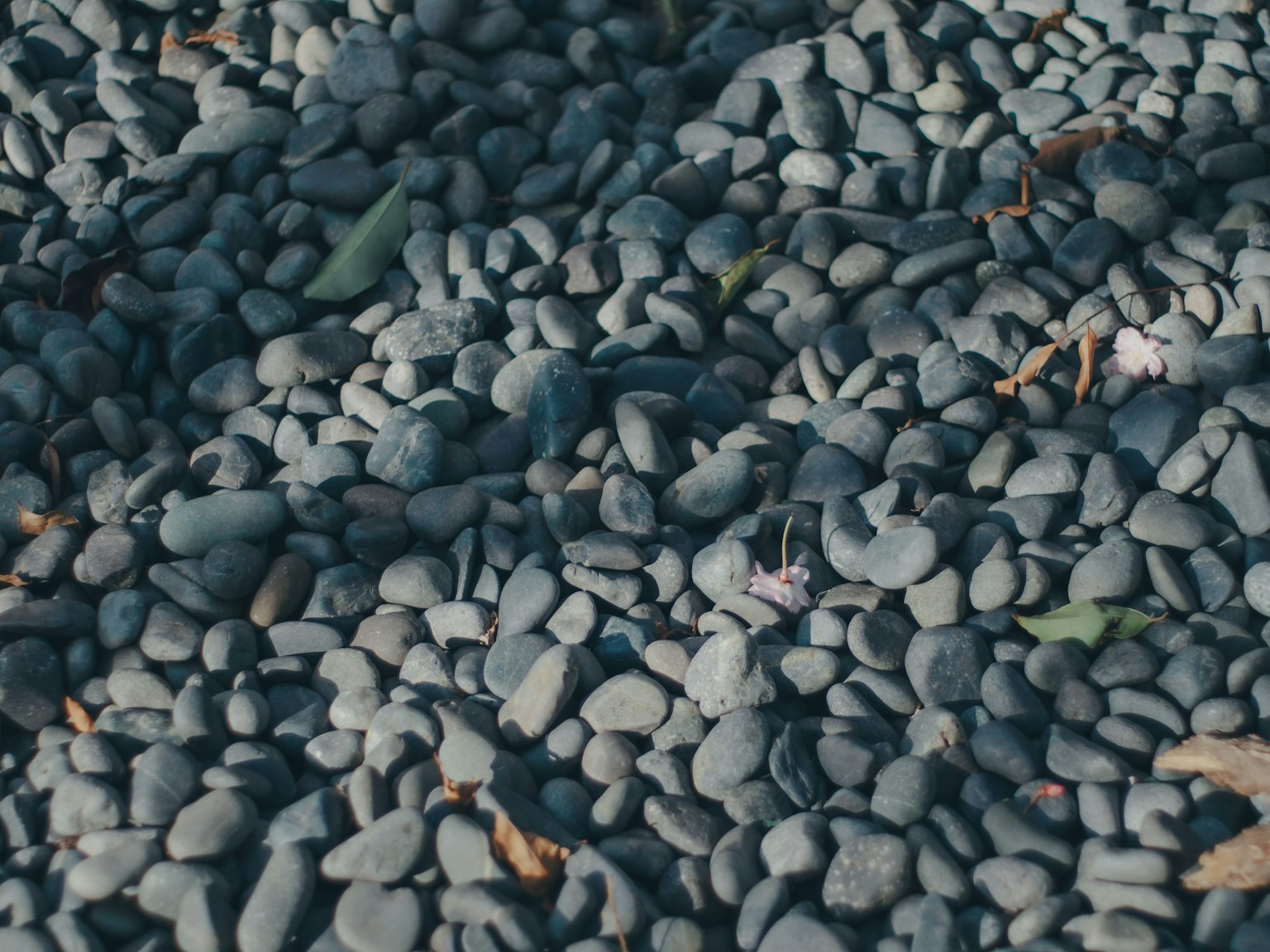 Close-up of a ground covered with black pebbles