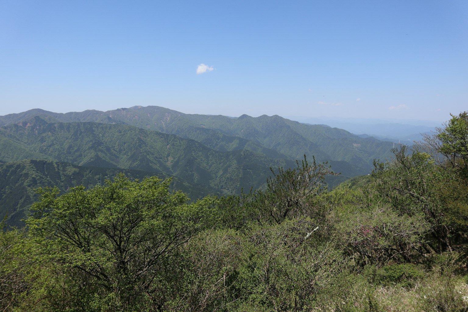 Paisaje verde con montañas y cielo azul