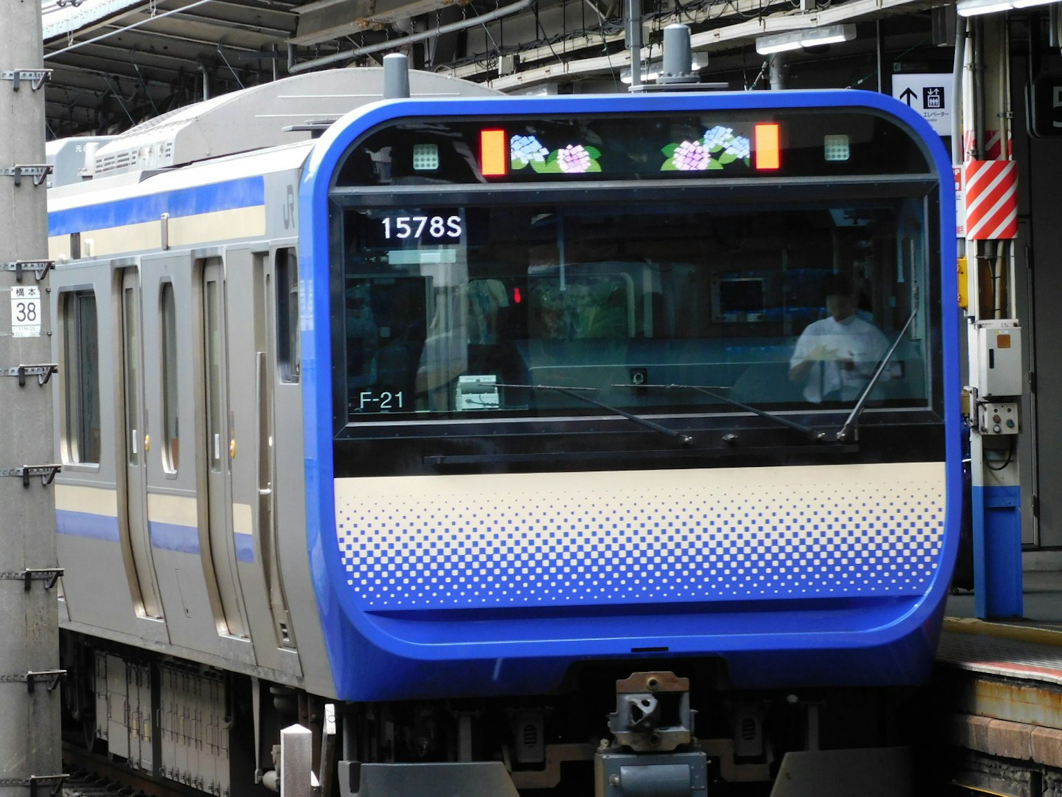 Kereta bergaris biru di stasiun