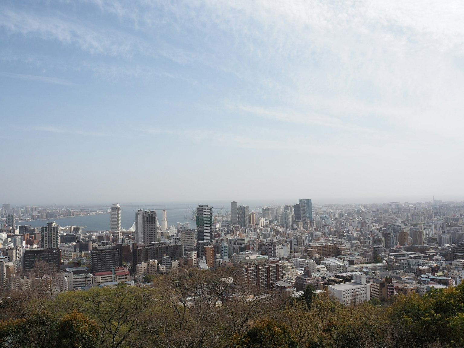 城市天際線的全景，包括摩天大樓和海洋