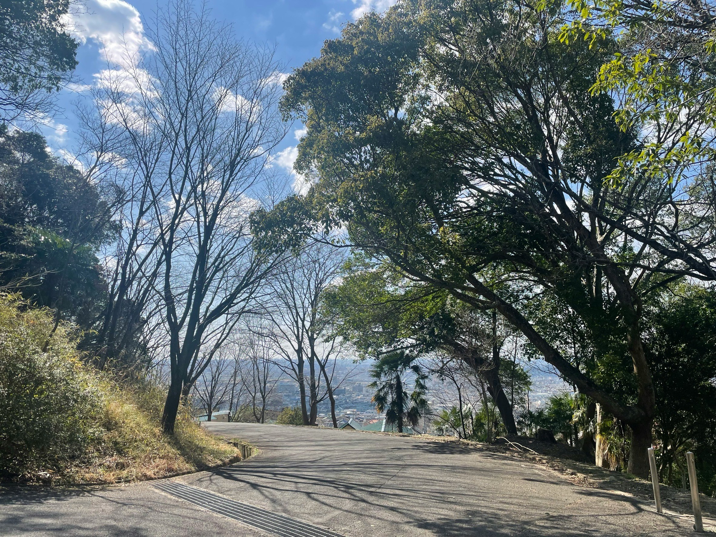 山道を走るツーリングの景色