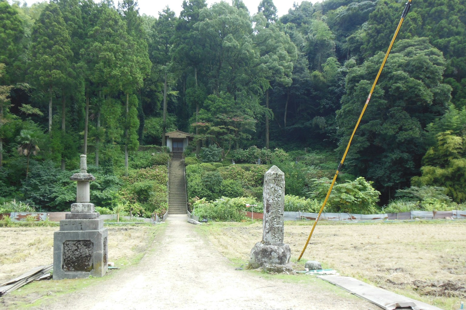 ทางเดินที่มีโคมไฟหินโบราณและเครื่องหมายเรียงรายนำไปสู่ป่าเขียวขจี