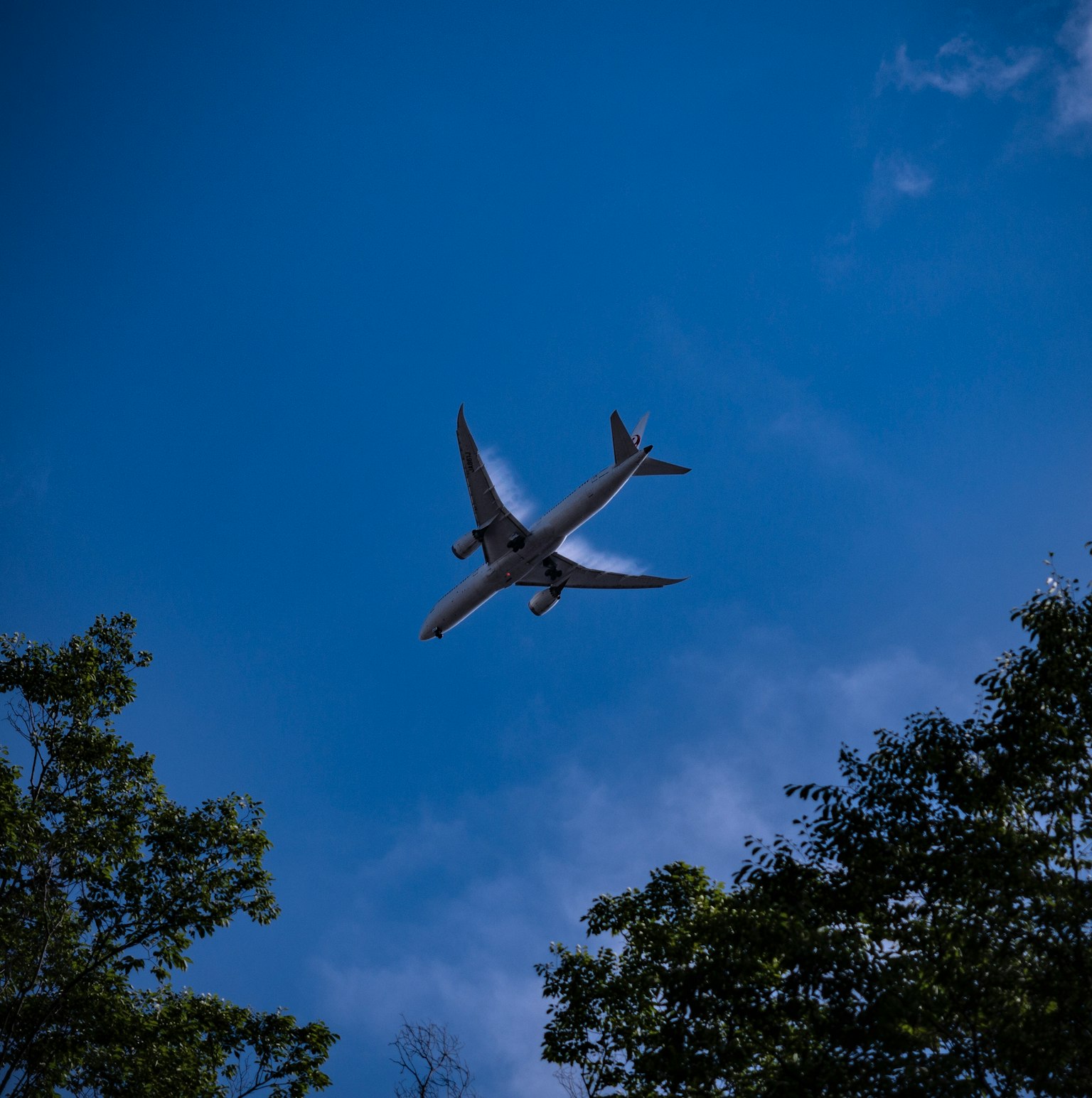 Airplane flying in the blue sky surrounded by trees