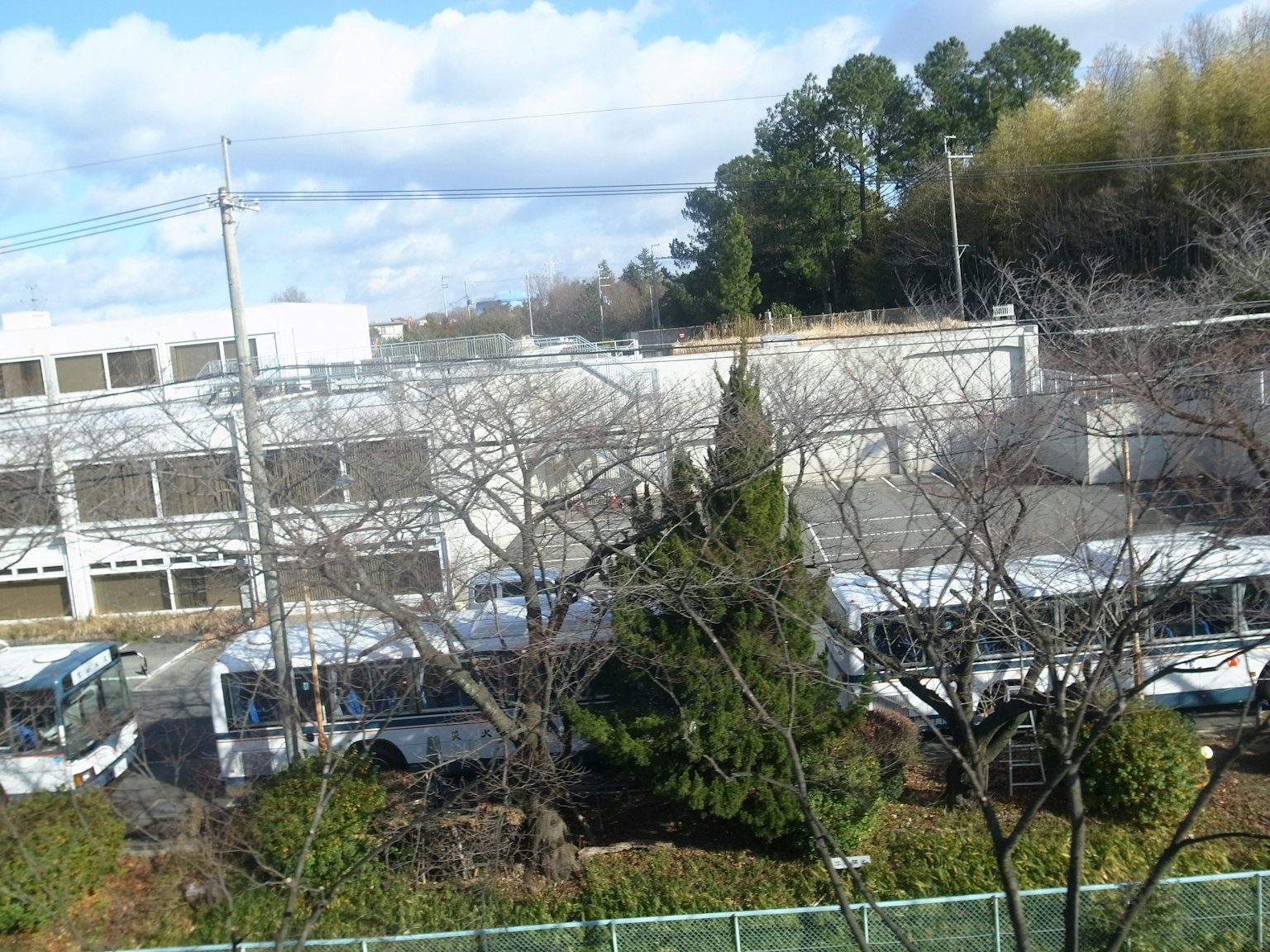 Image de bus garés près des arbres et d'un bâtiment