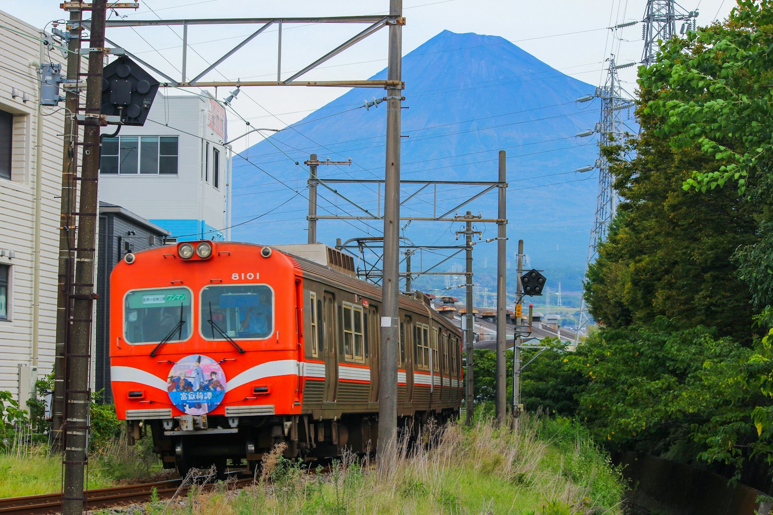 Train passing through green grass near railway tracks with Mount Fuji in the background