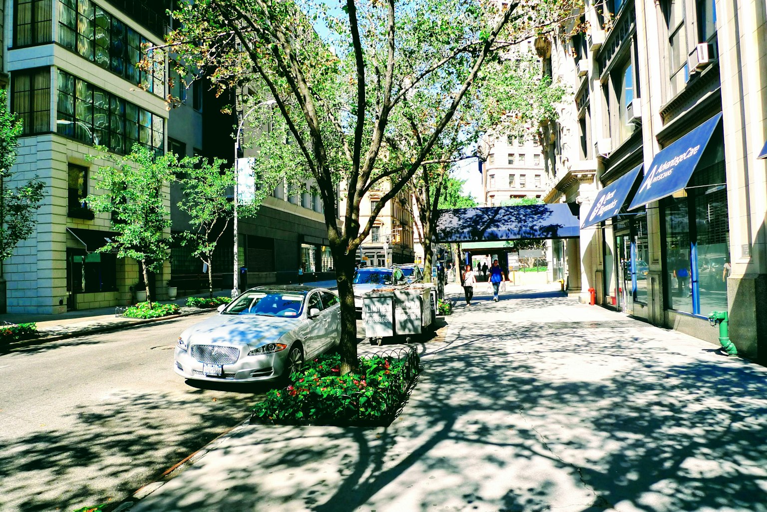 Scène urbaine avec arbres voitures et piétons