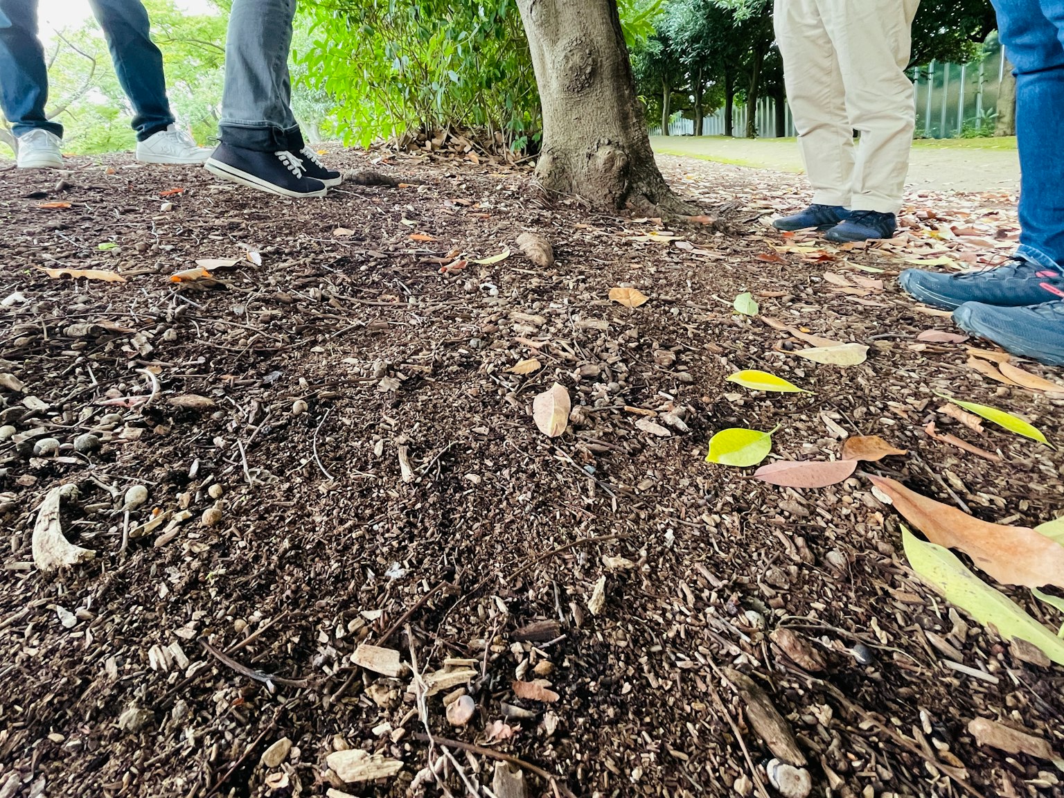Photo montrant les pieds de personnes debout sur le sol avec des feuilles tombées